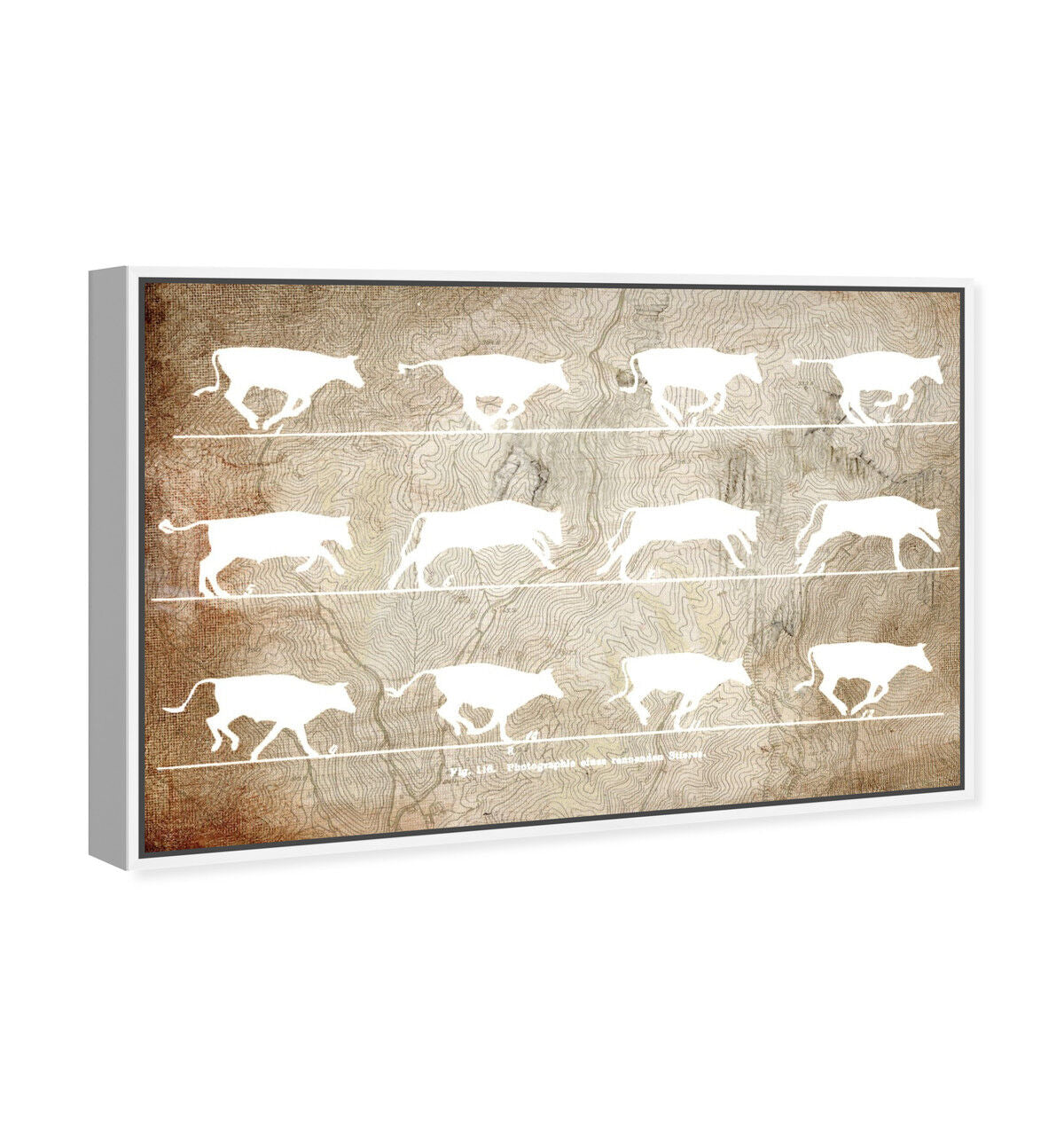 54x36/Framed Canvas/WFL