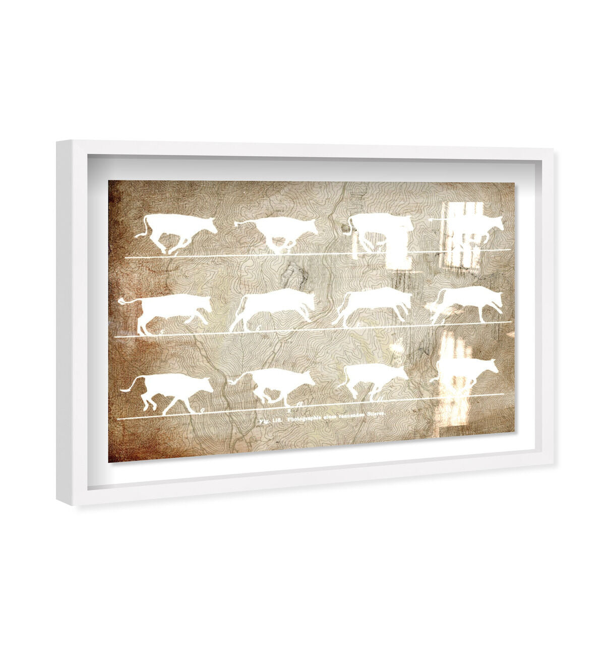 54x36/Shadowbox/SBW