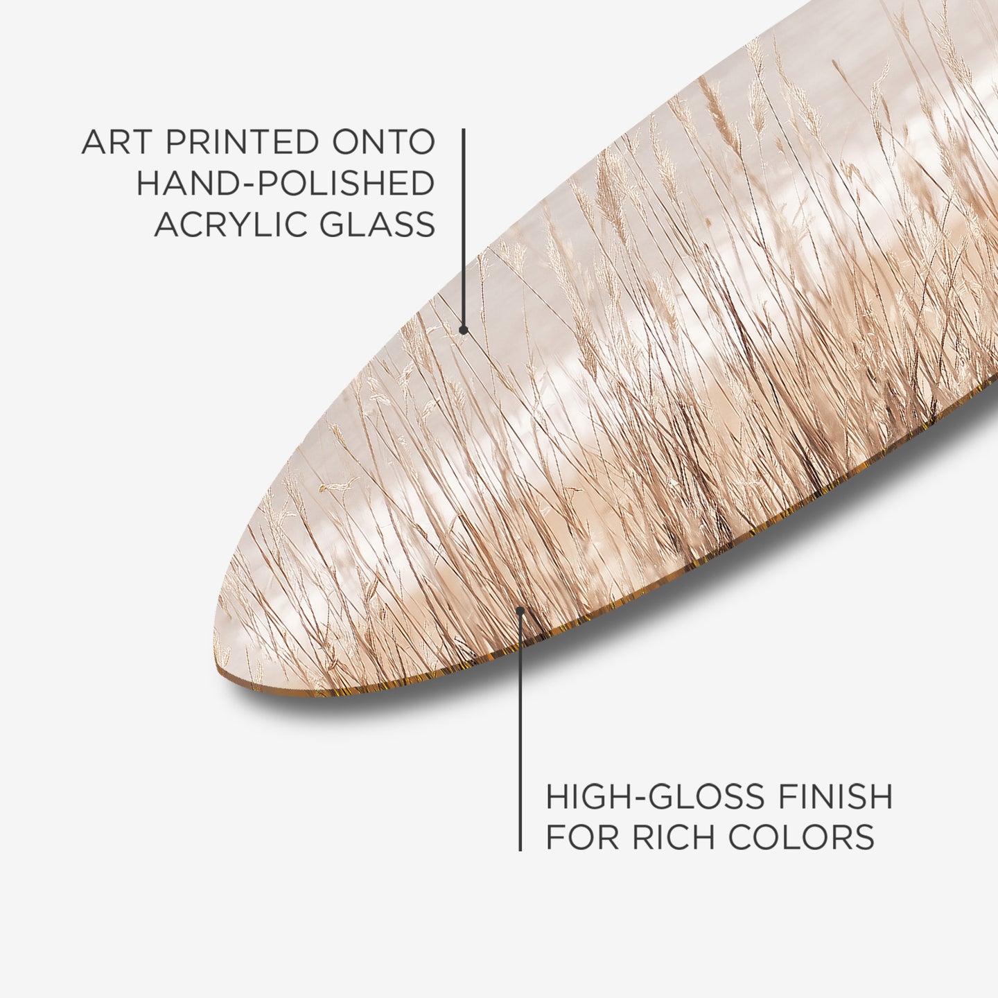 Dried Grass Surfboard