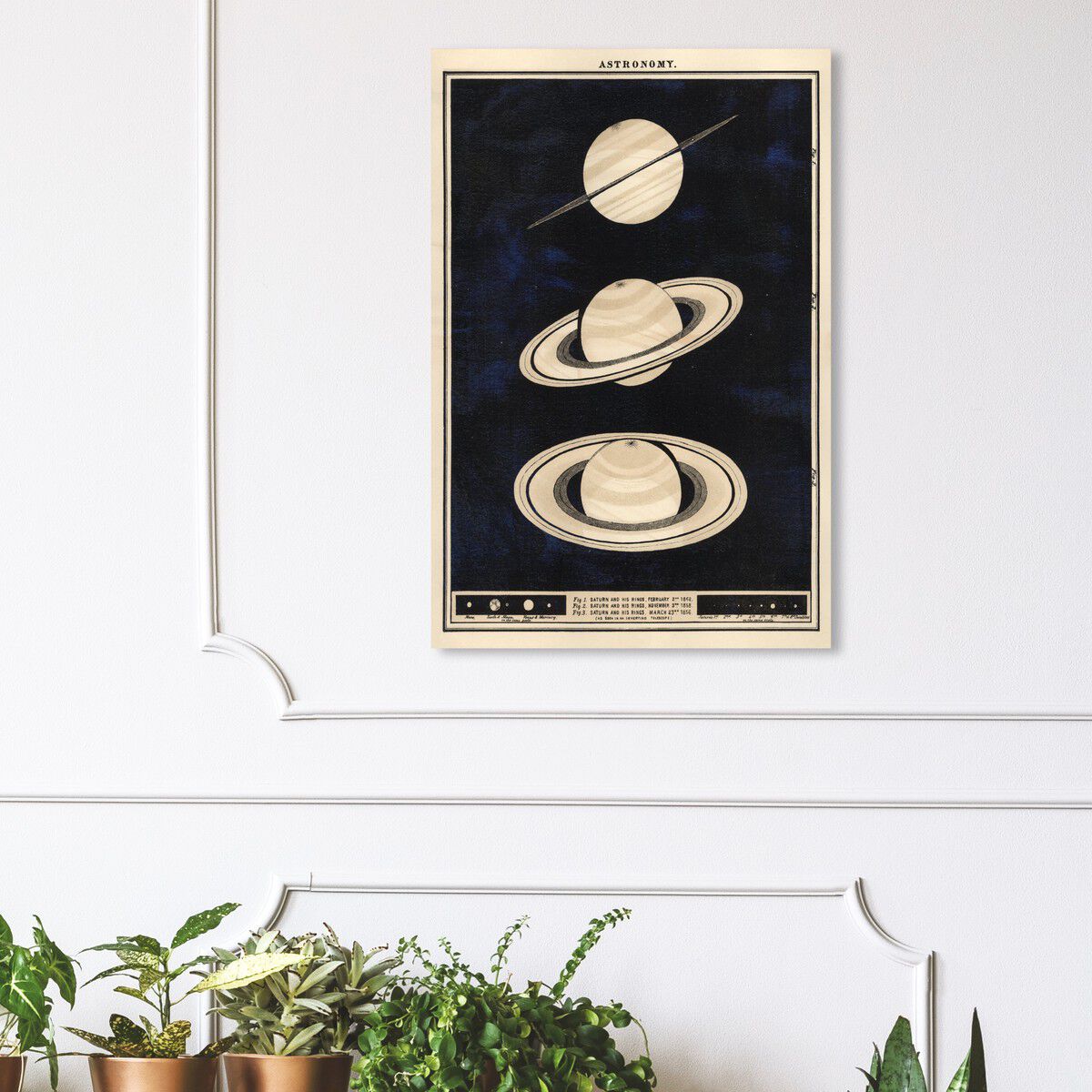 36x54/Canvas/XHD