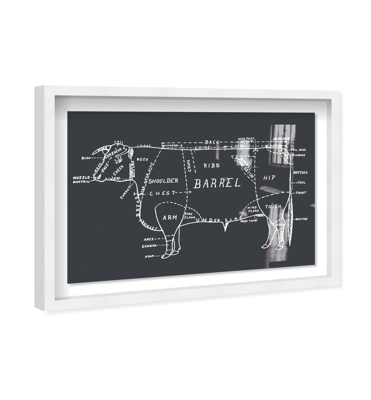 54x36/Shadowbox/SBW