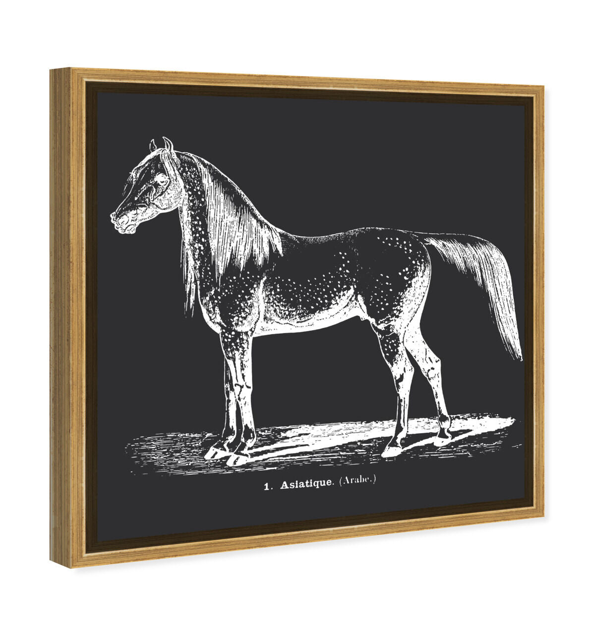 40x40/Framed Canvas/PSGLD