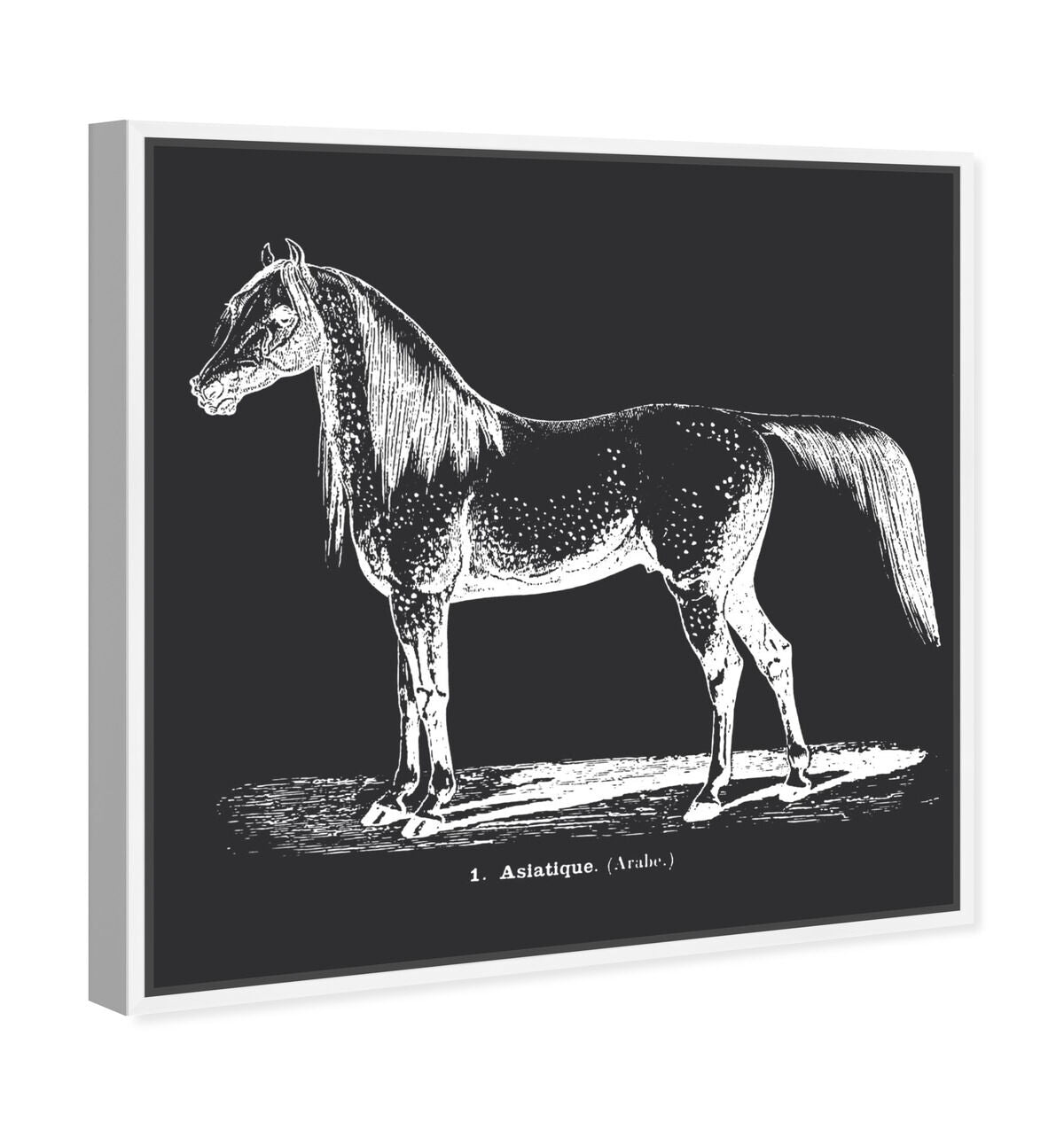 40x40/Framed Canvas/WFL