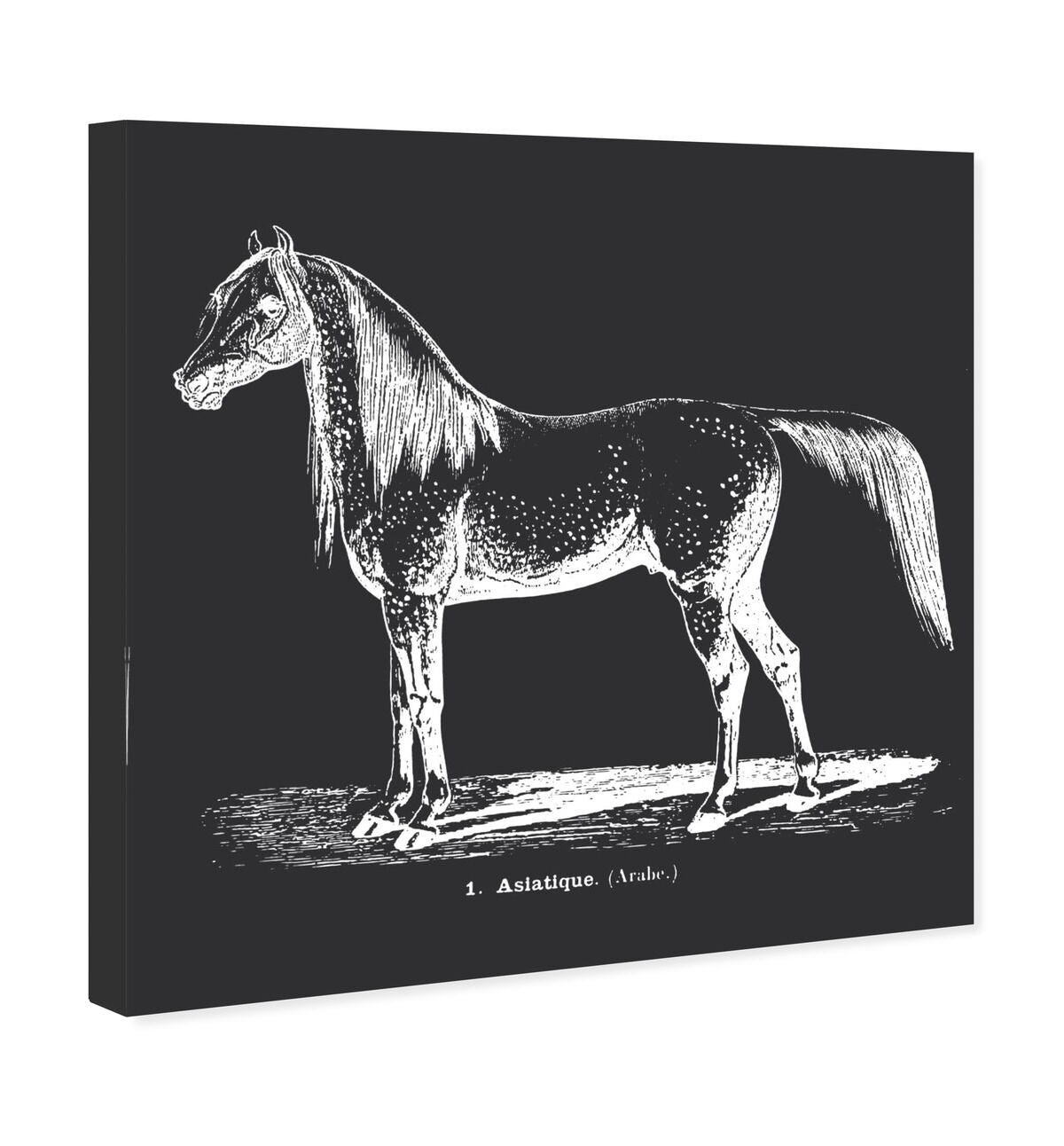 40x40/Canvas/XHD