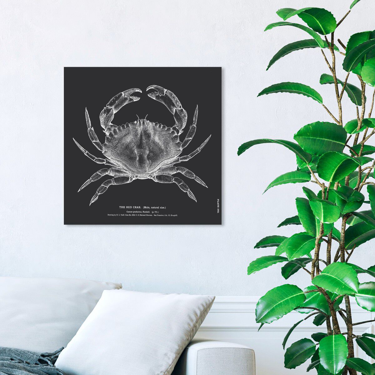 40x40/Canvas/XHD