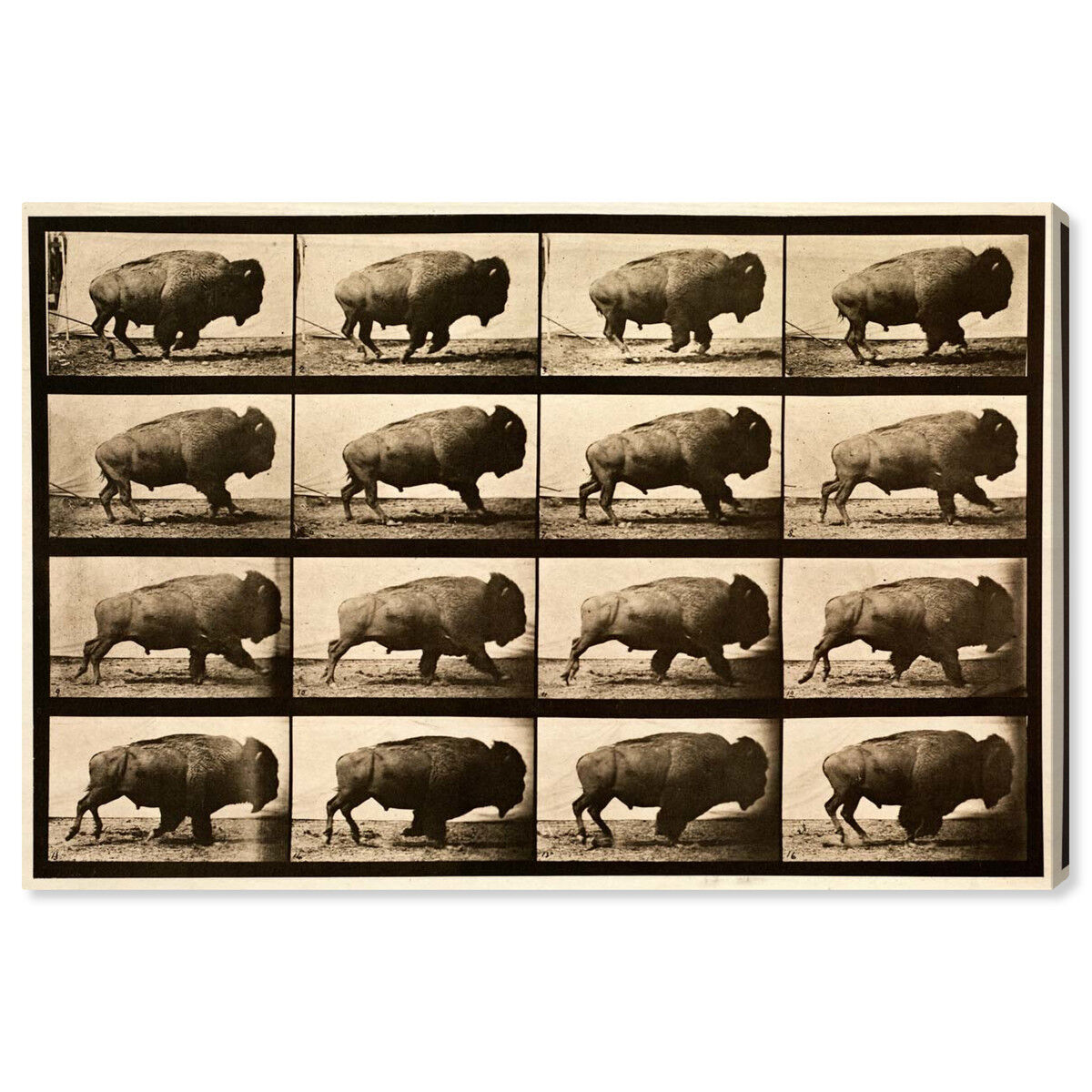 54x36/Canvas/XHD