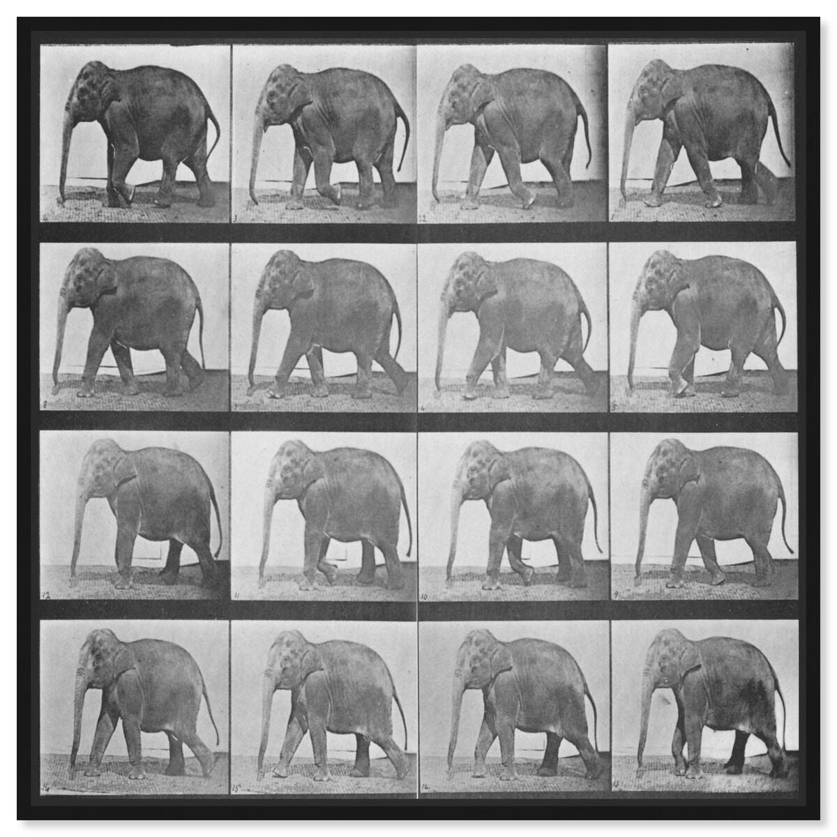 40x40/Canvas/BFL