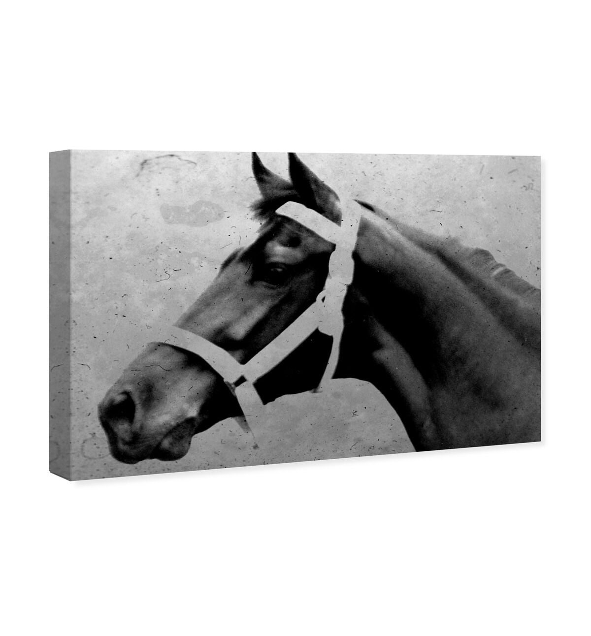 54x36/Canvas/XHD