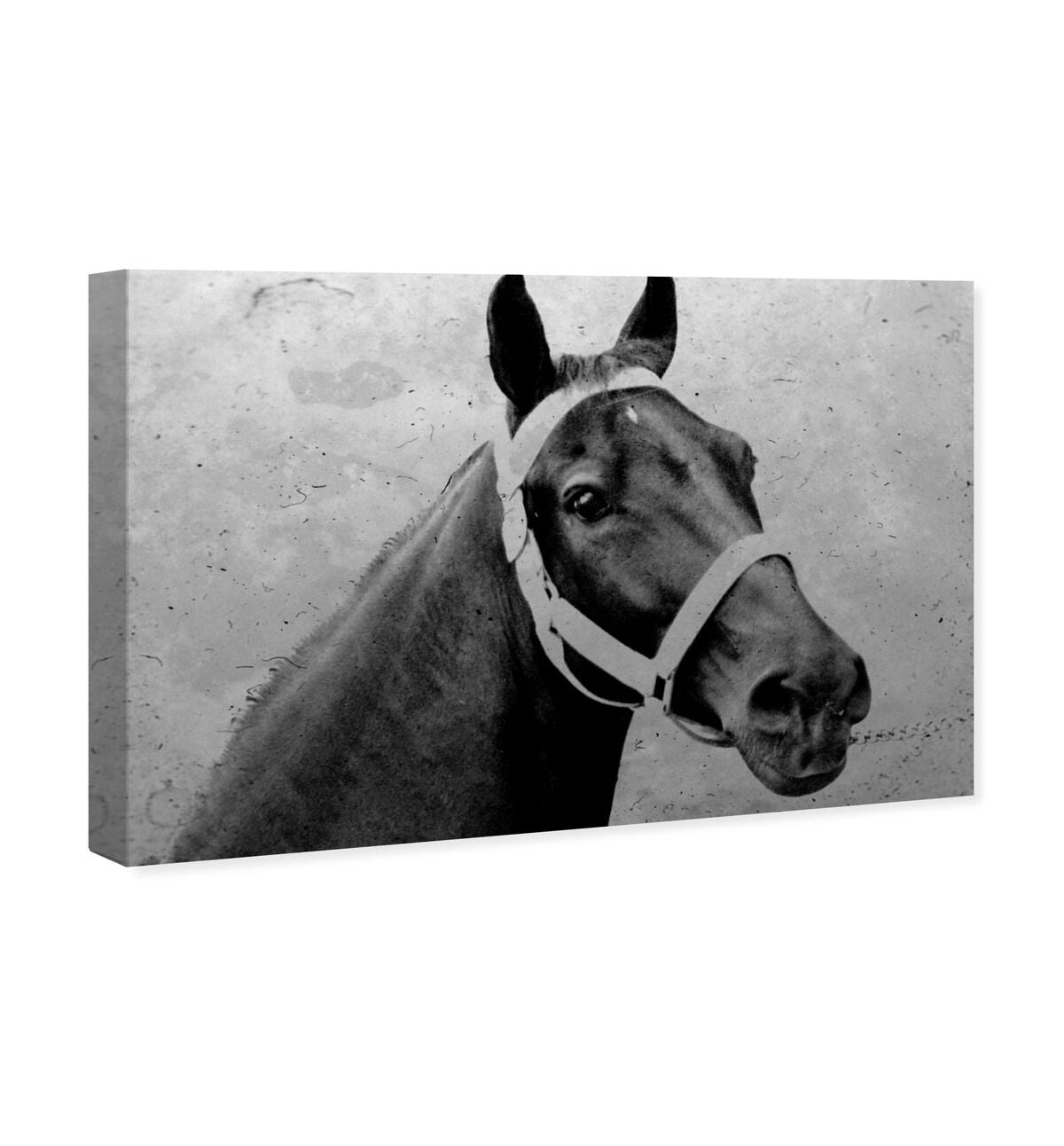 54x36/Canvas/XHD