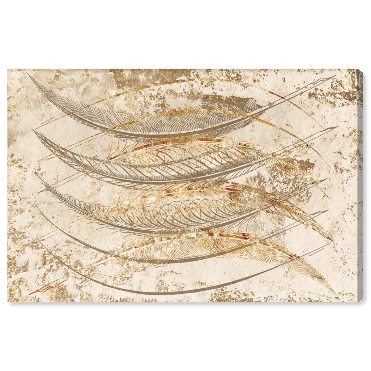Gold Feathers