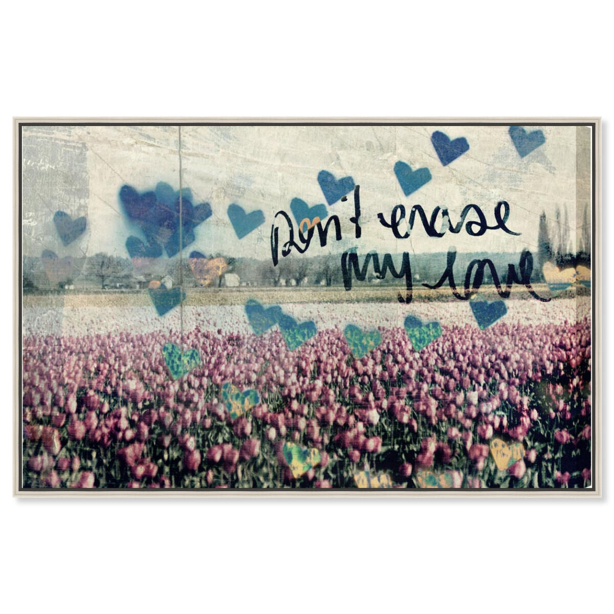 Don't Erase My Love