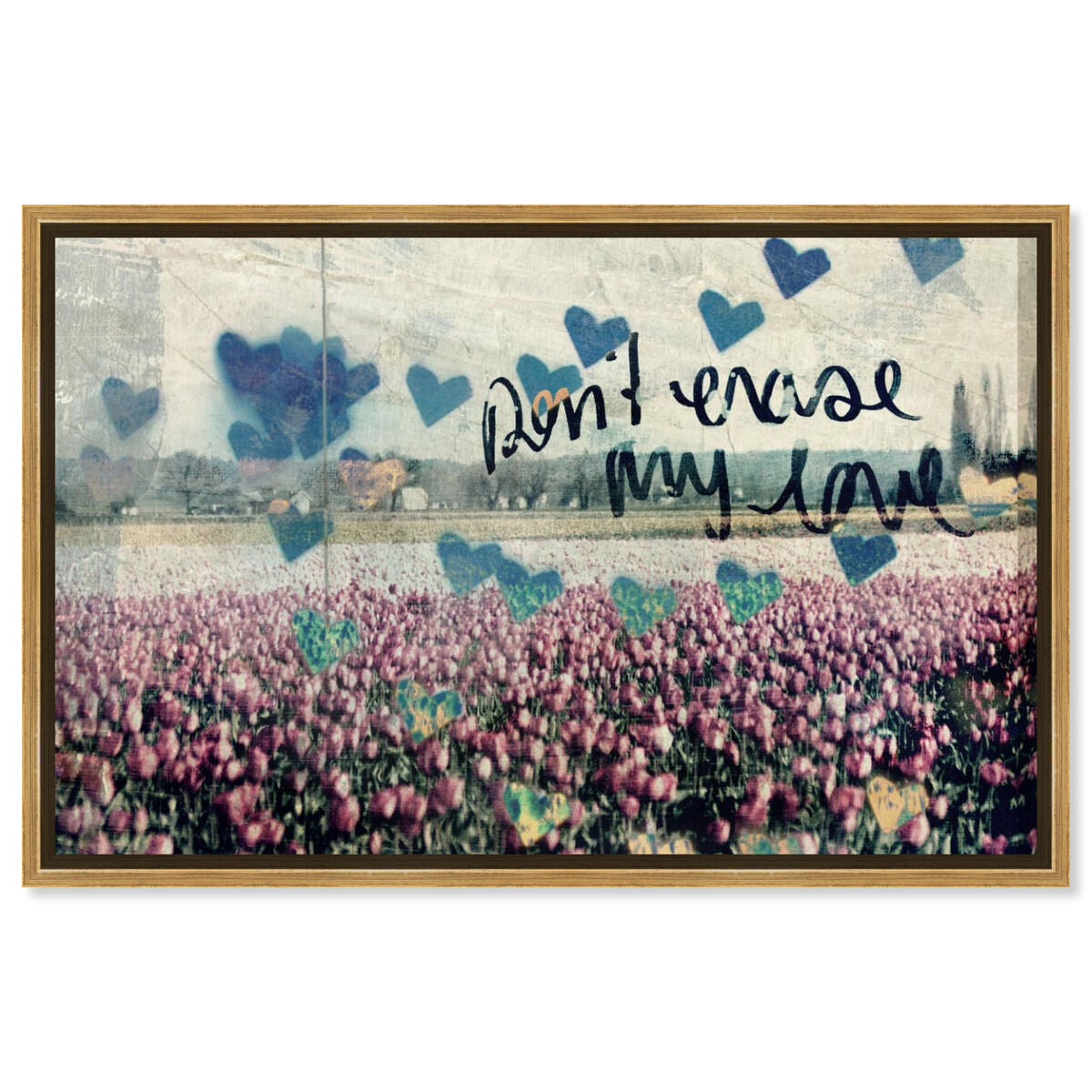Don't Erase My Love