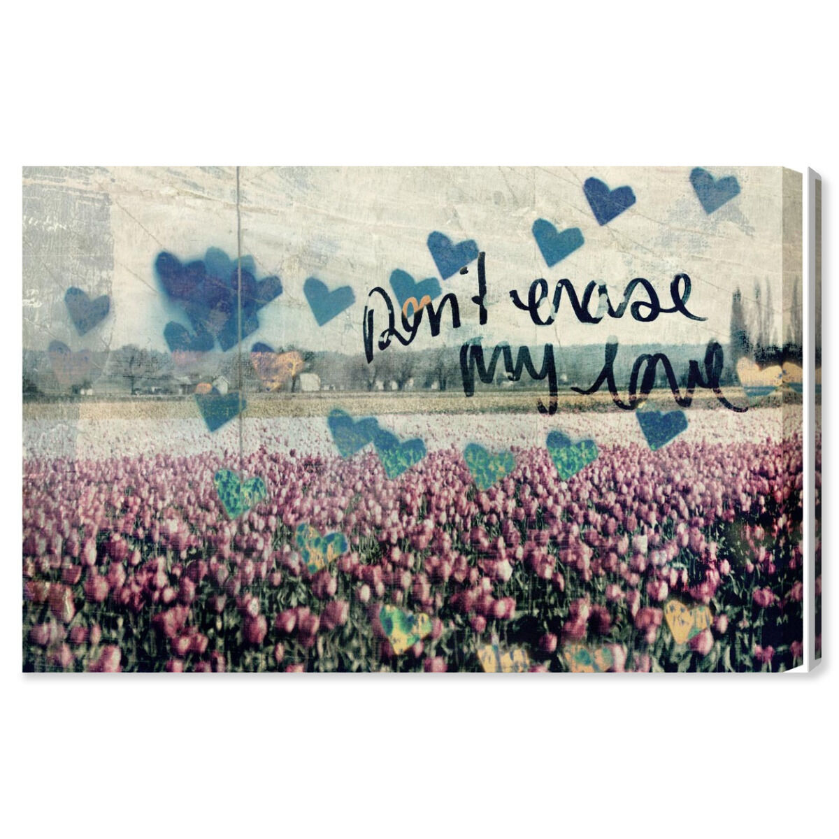 Don't Erase My Love