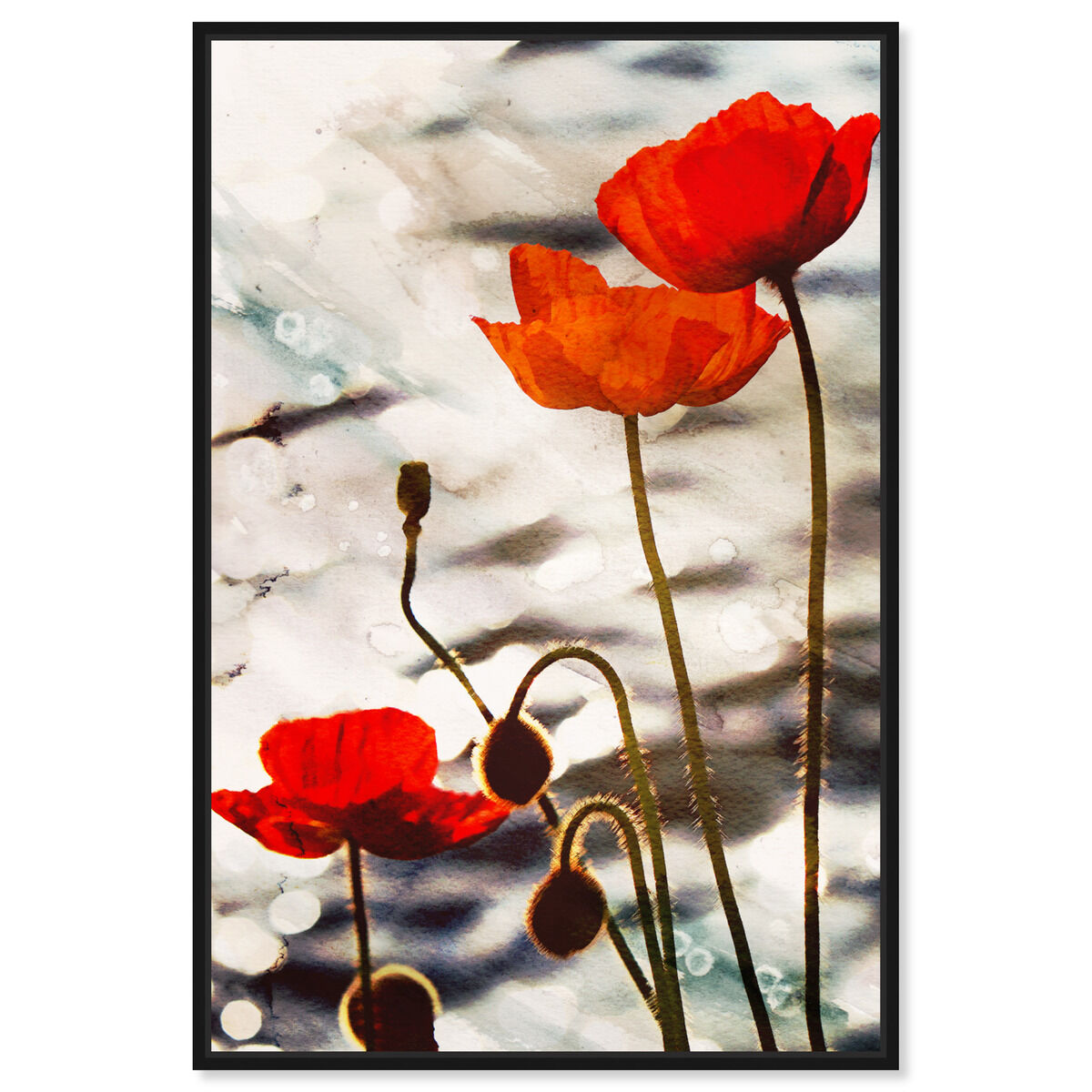 Poppy Dusk