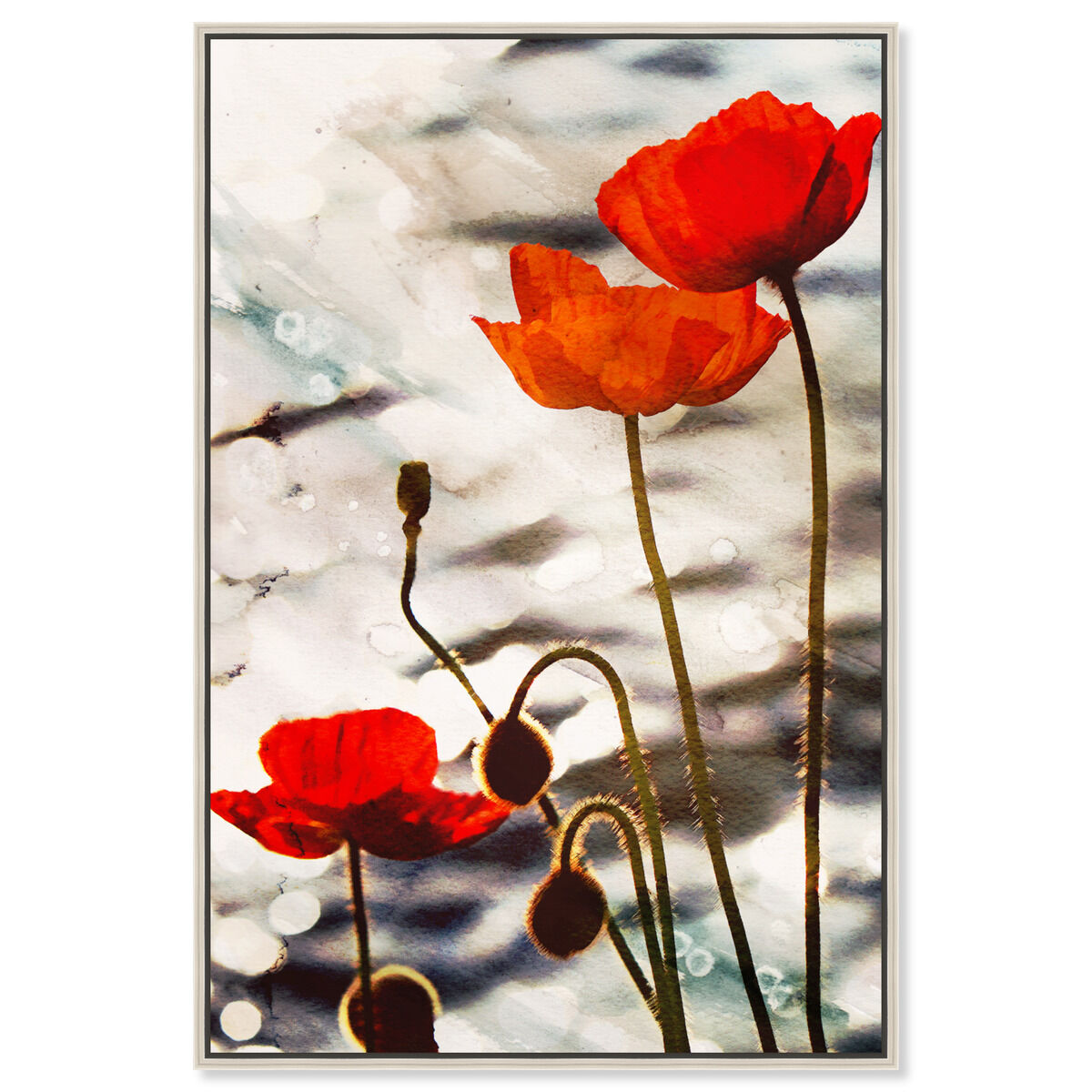 Poppy Dusk