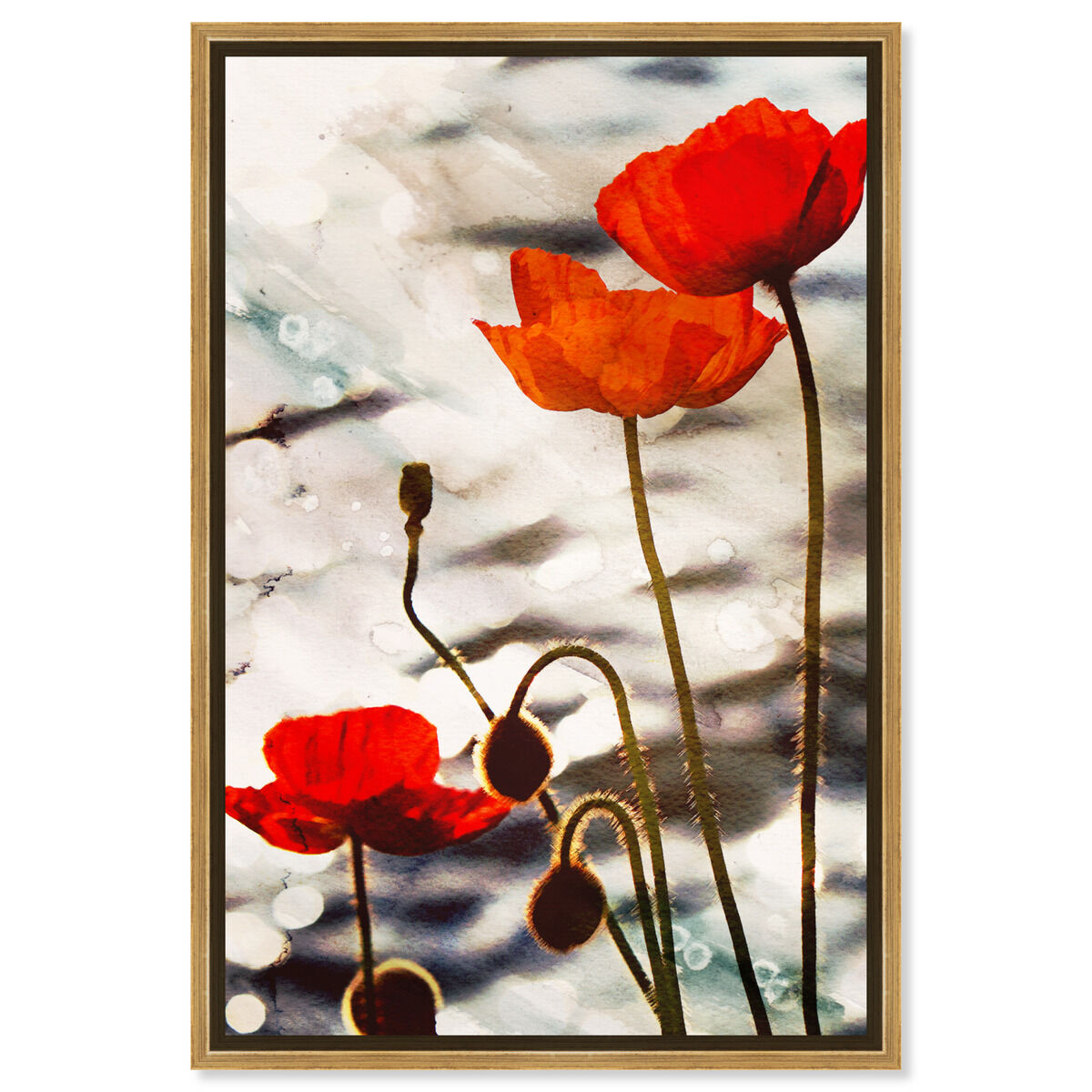 Poppy Dusk