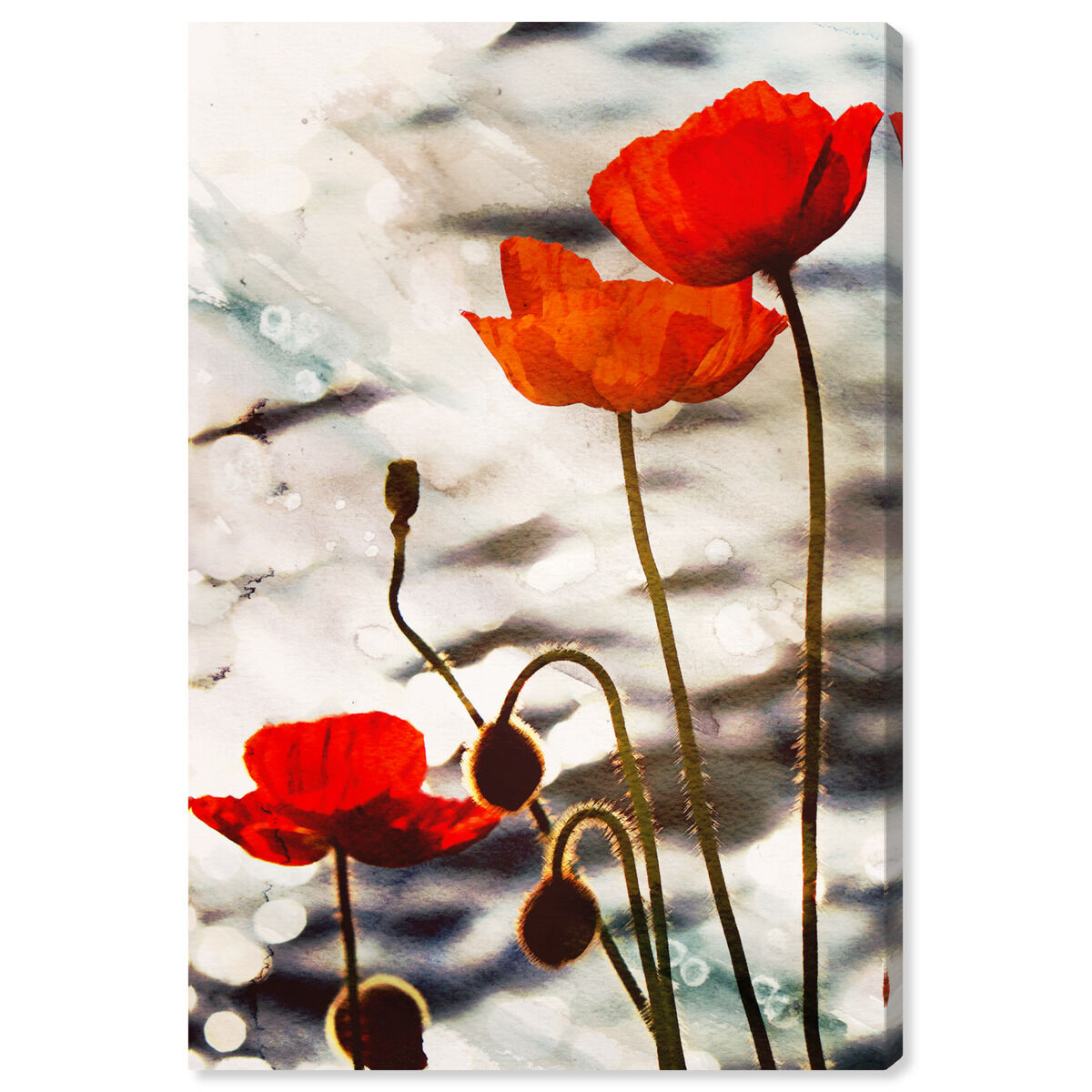 Poppy Dusk