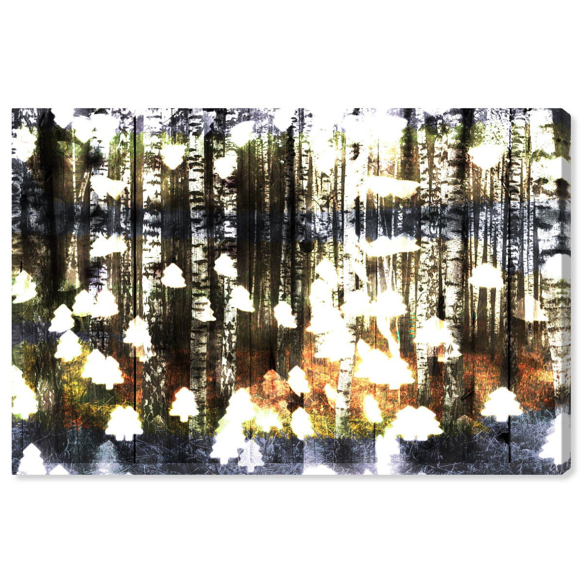Birch Land