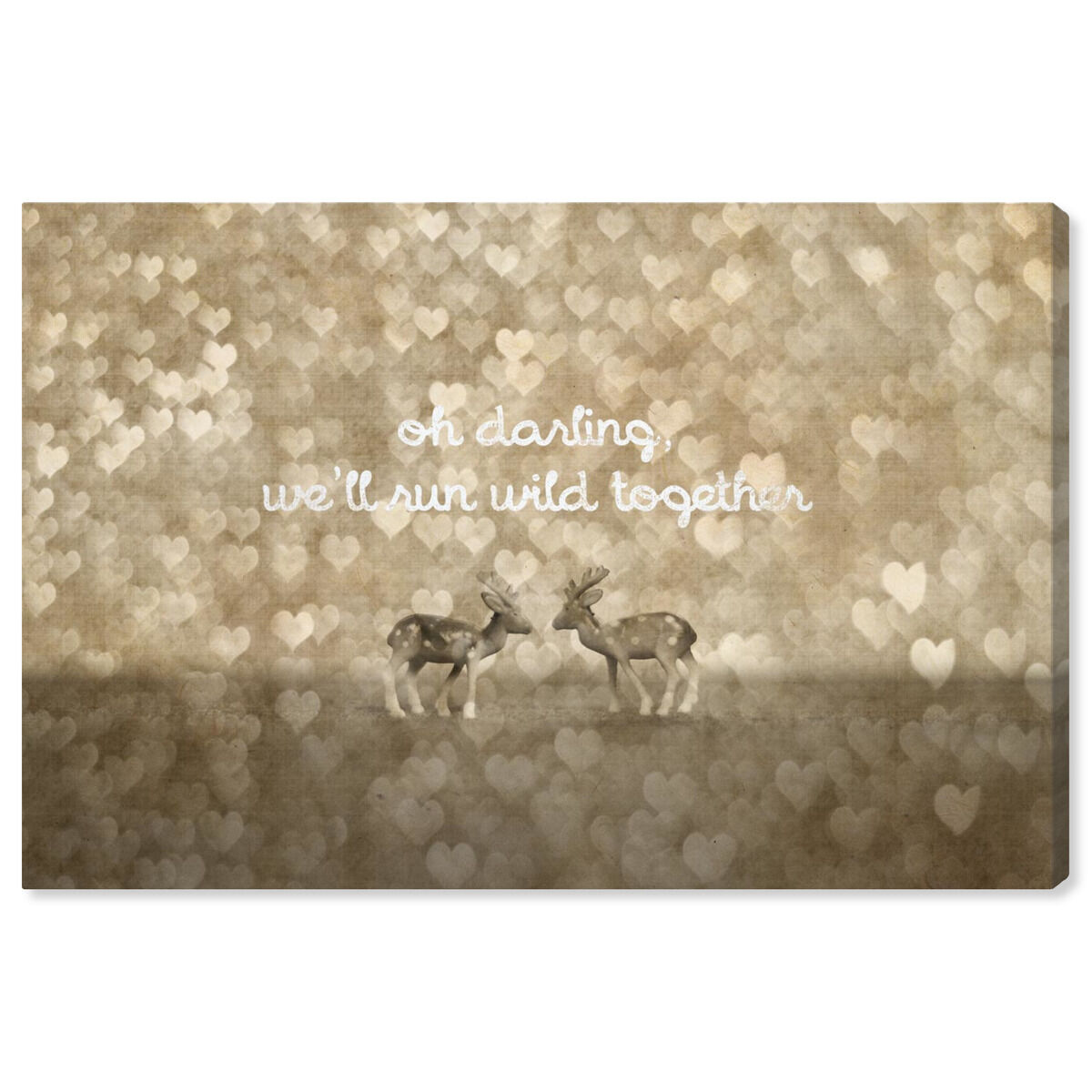 Run Wild Together