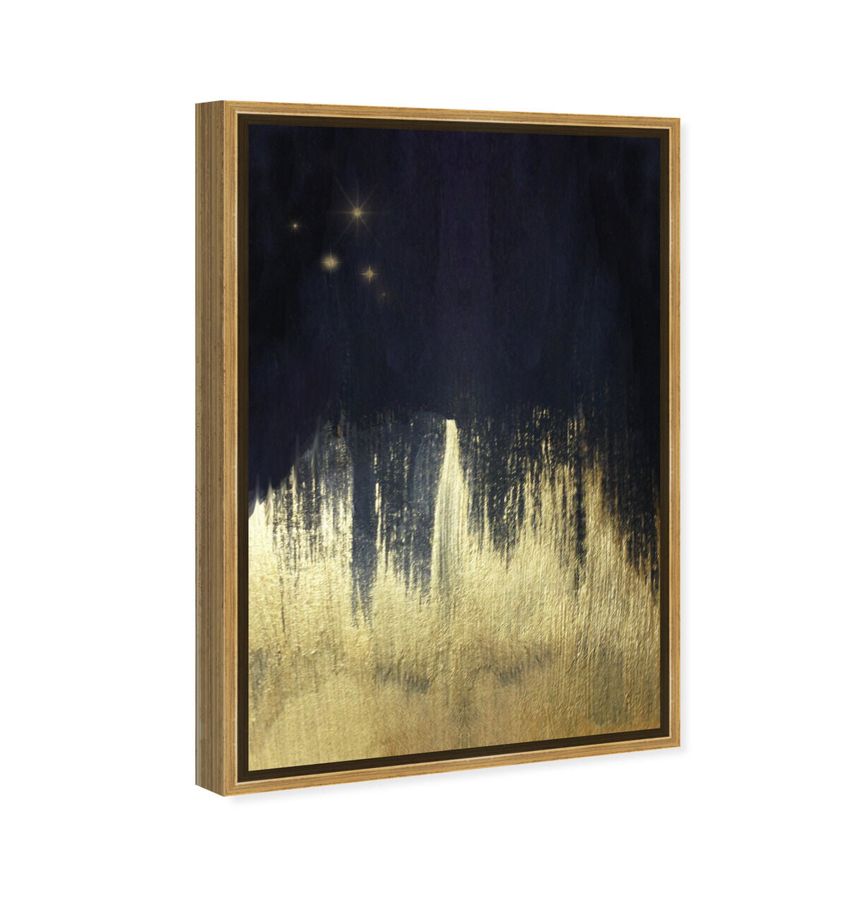 36x54/Framed Canvas/PSGLD