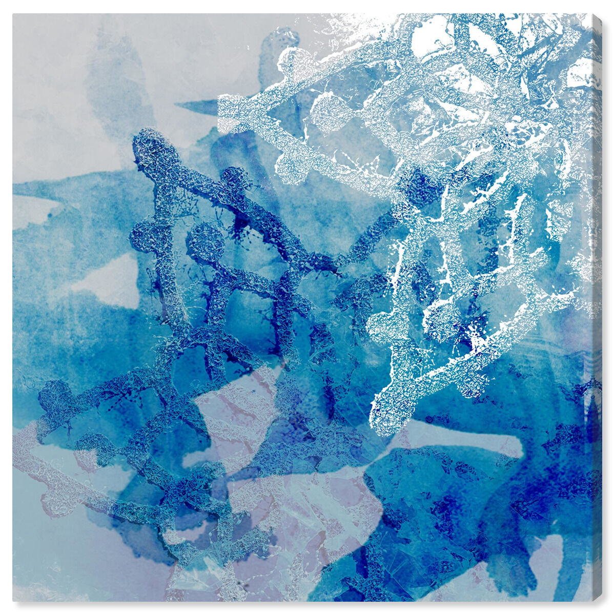 Nieve Dos