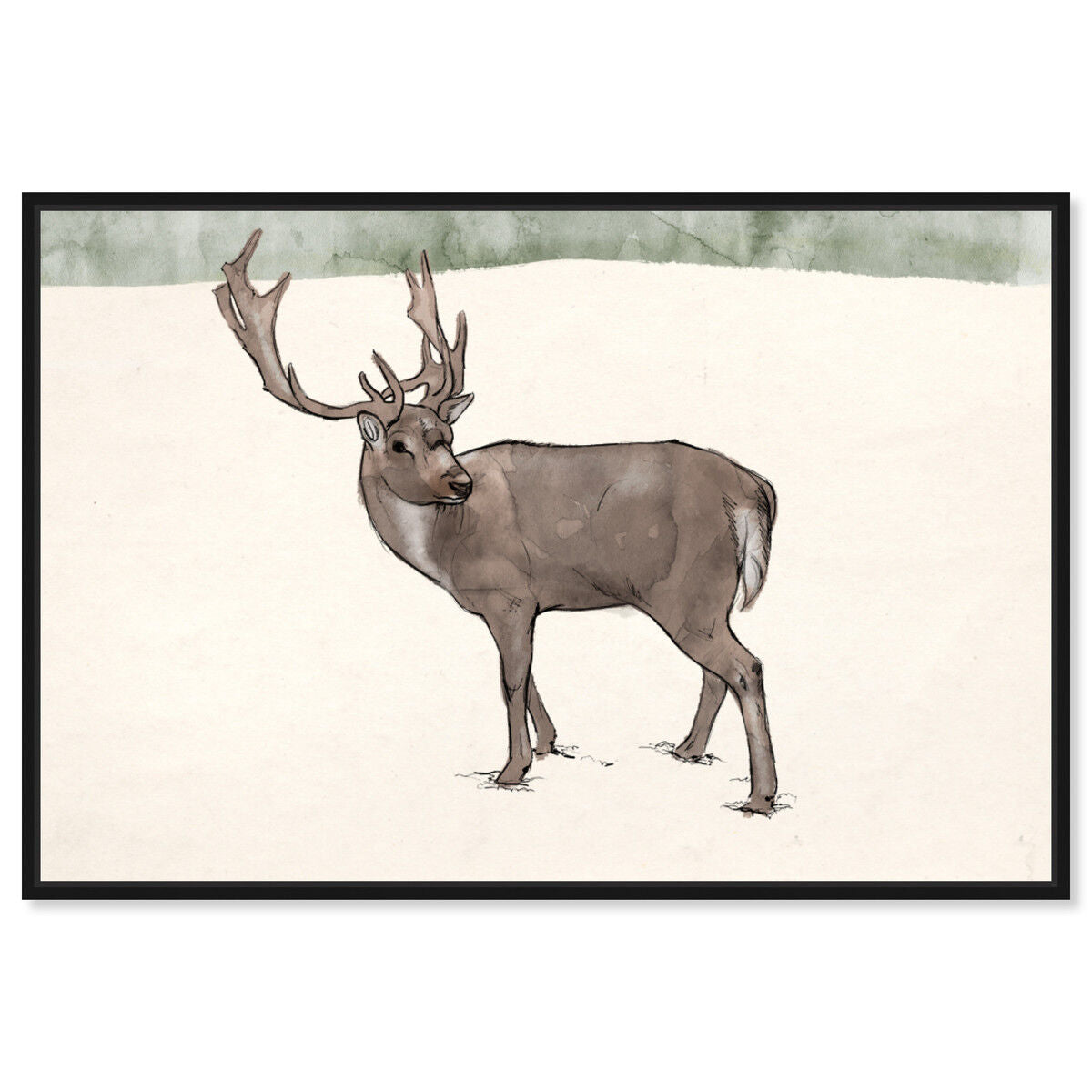 Lone Reindeer