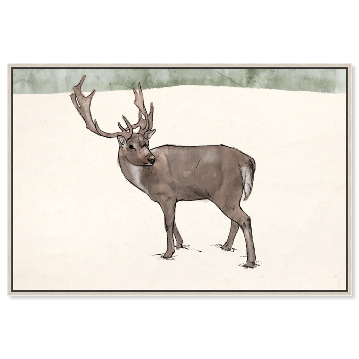 Lone Reindeer