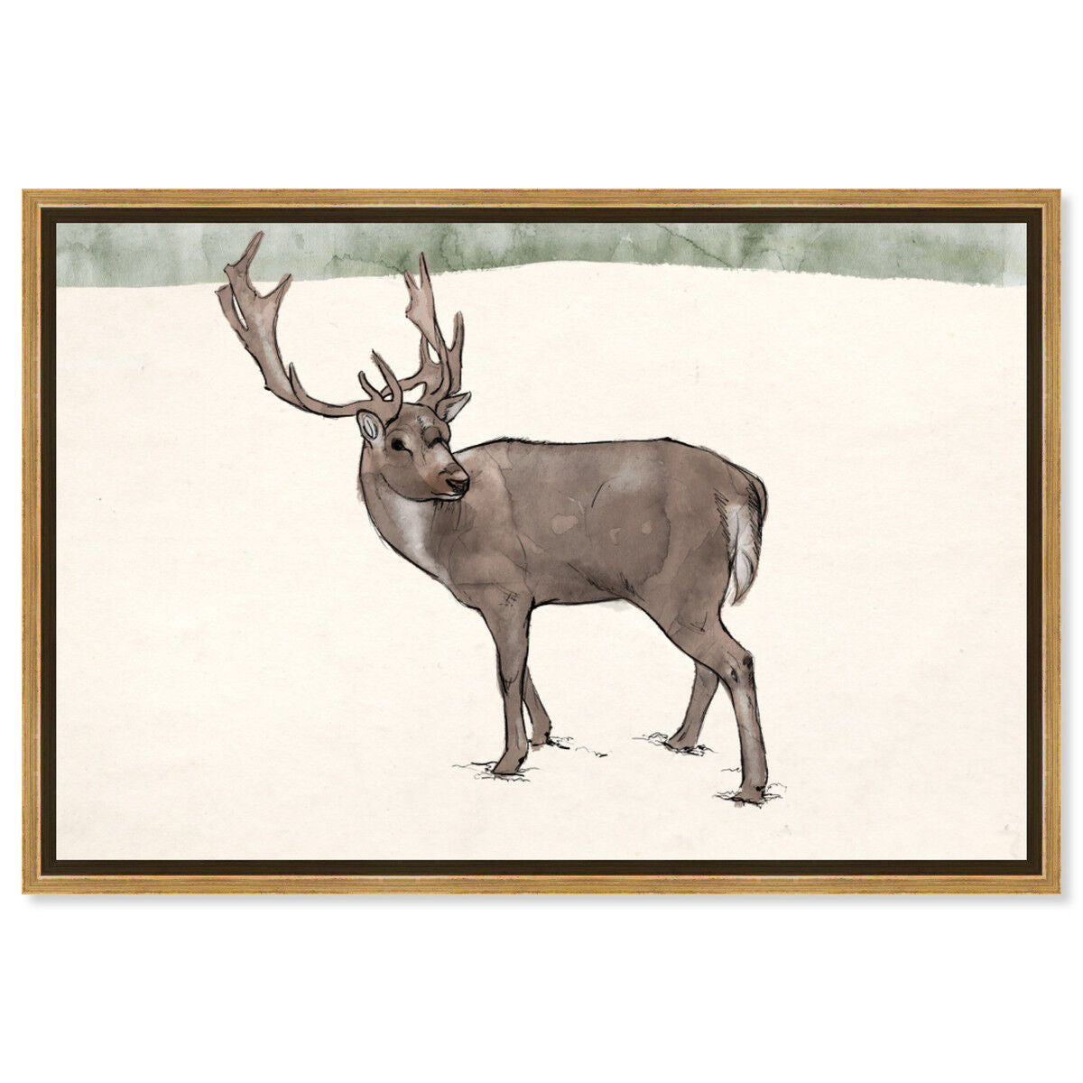 Lone Reindeer