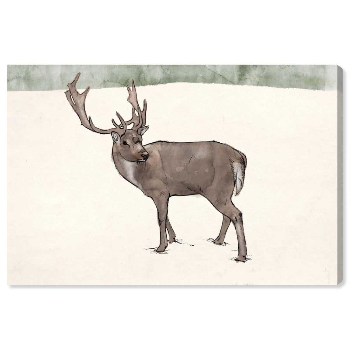 Lone Reindeer