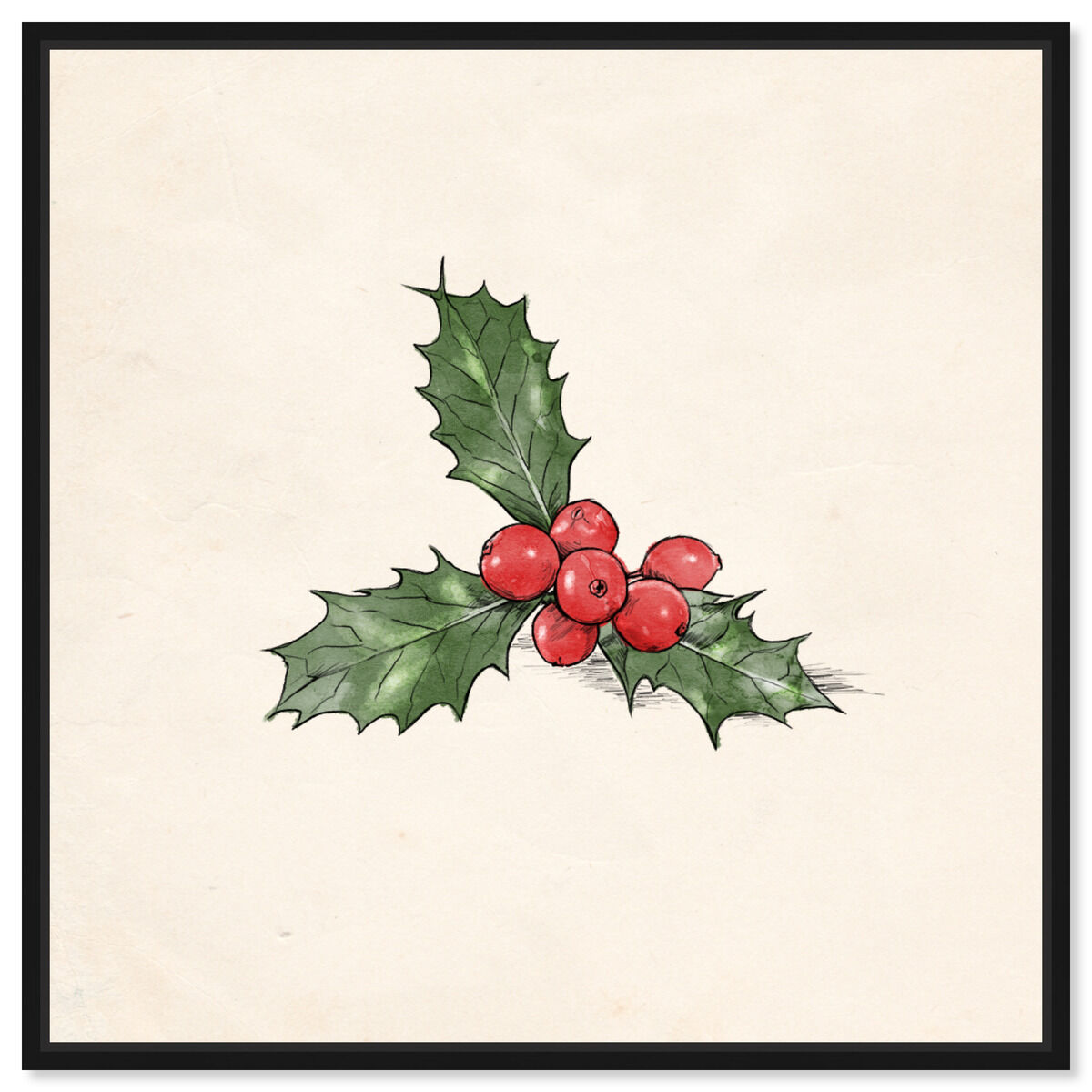Mistletoe