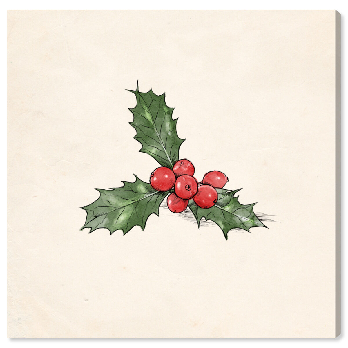 Mistletoe
