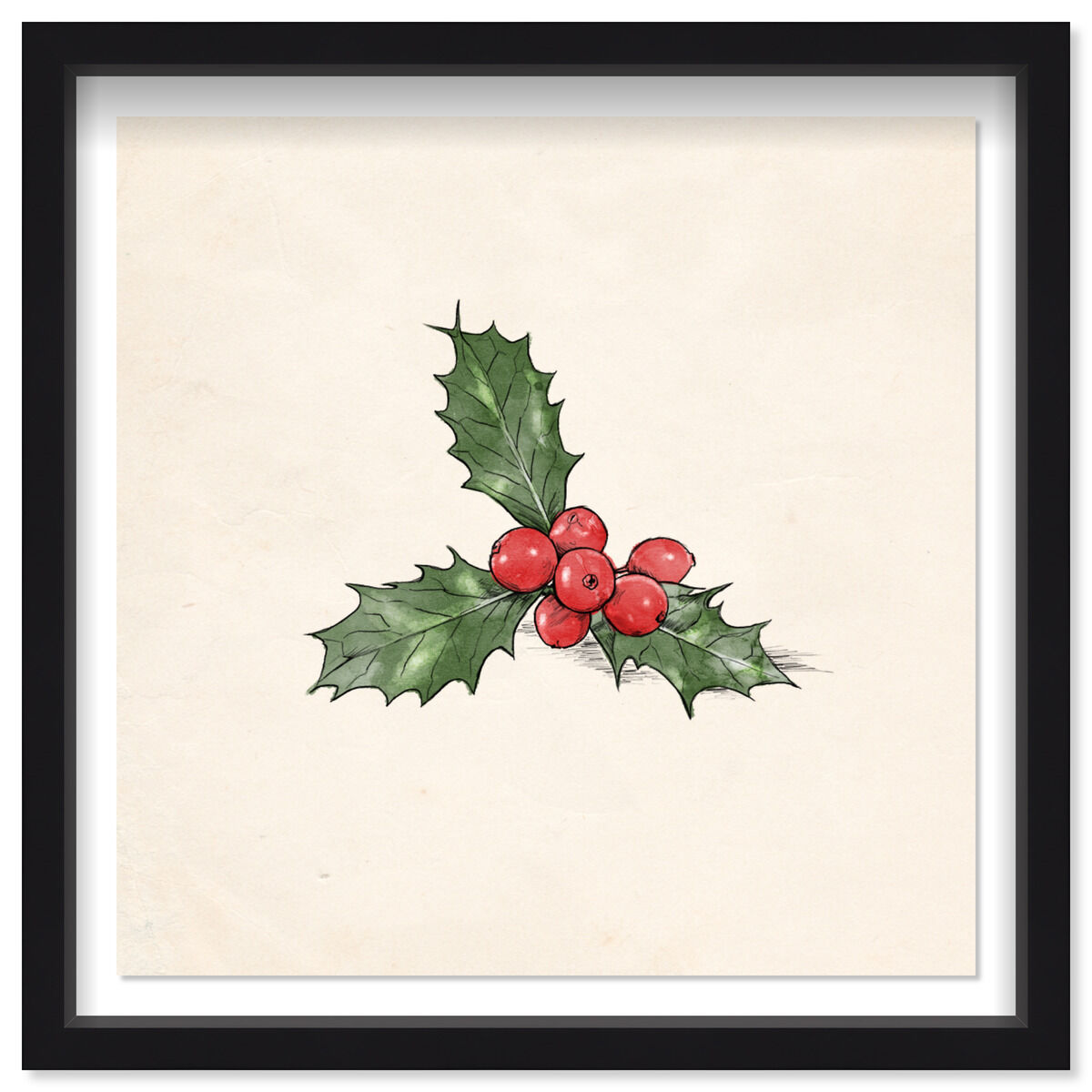 Mistletoe