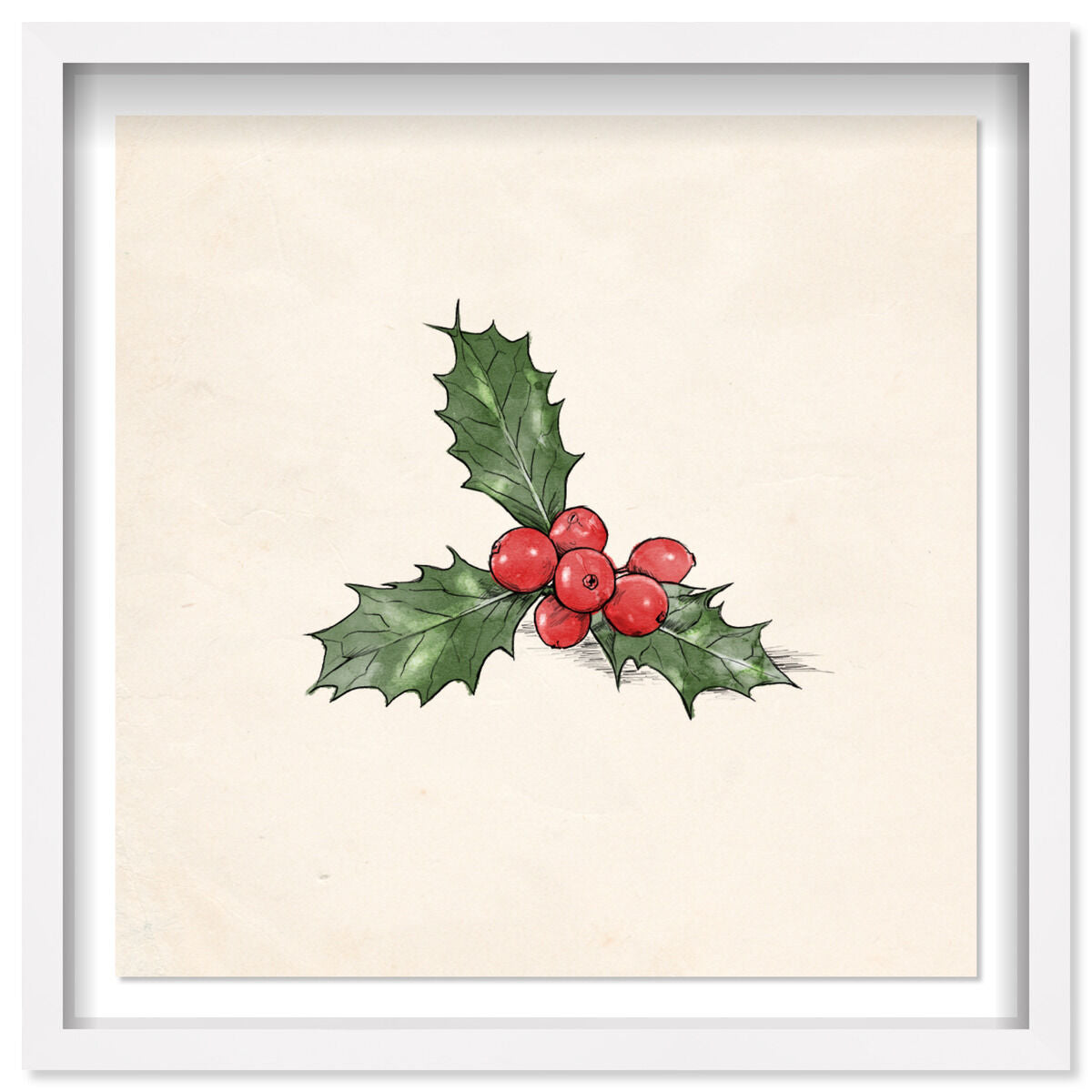 Mistletoe