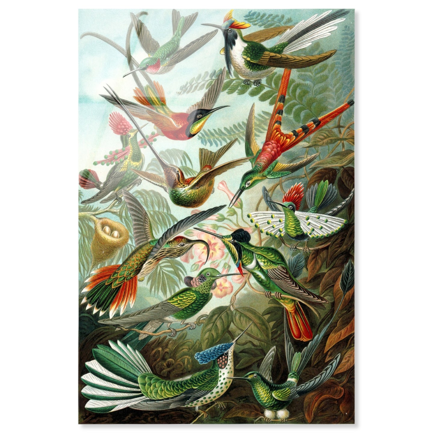 36x54/Acrylic/Unframed