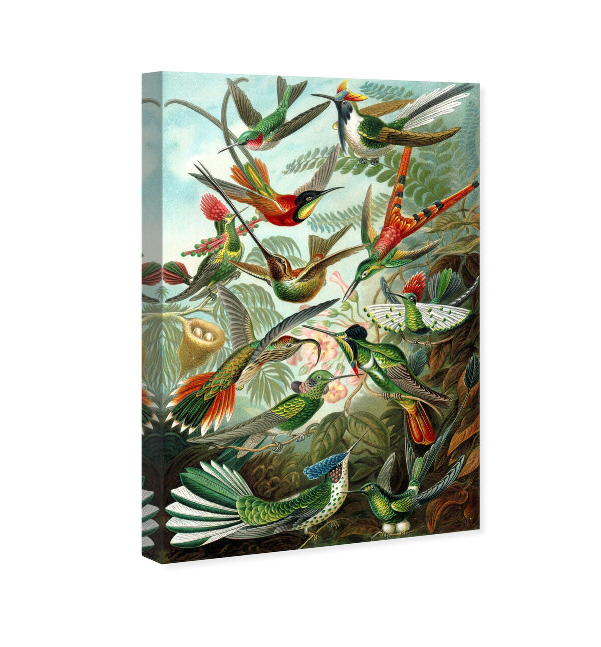 36x54/Canvas/XHD