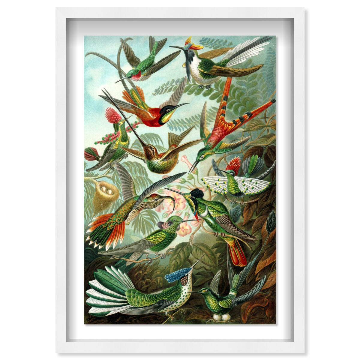 36x54/Shadowbox/SBW