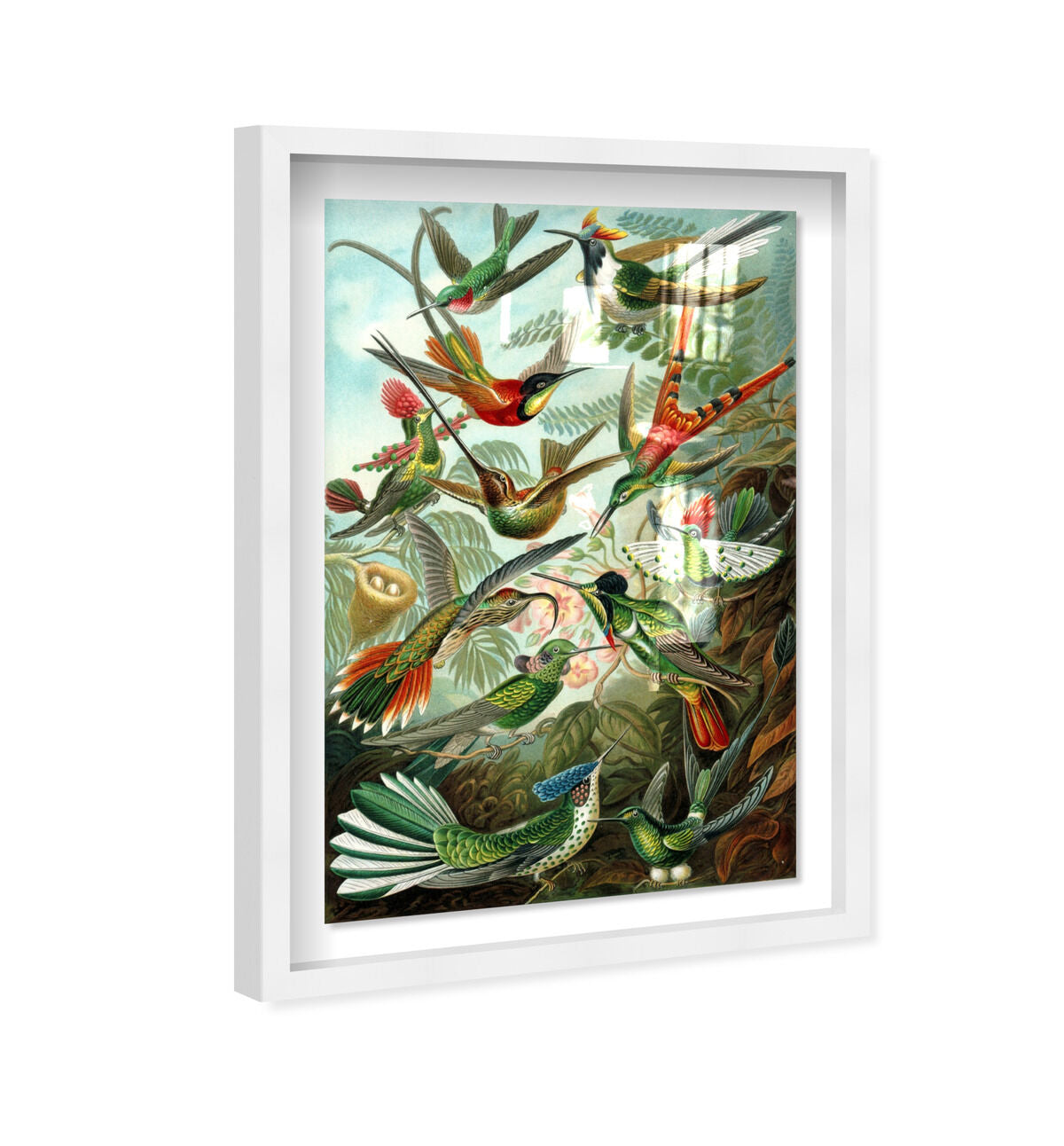 36x54/Shadowbox/SBW