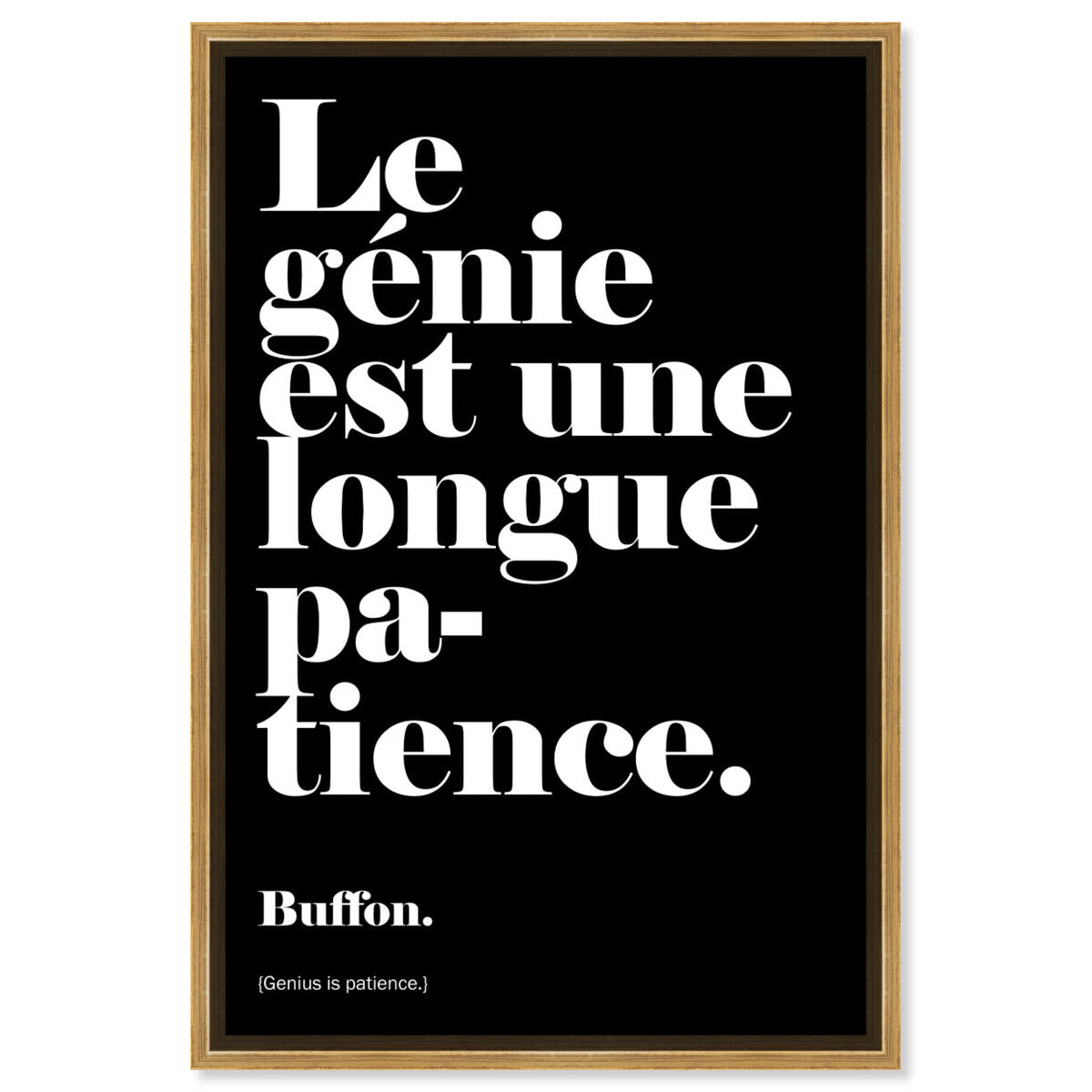 Genius is Patience