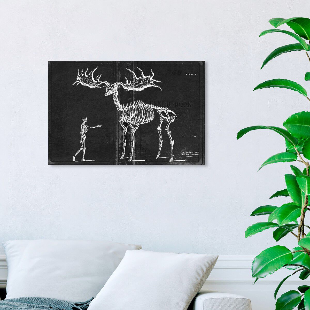 Fossil Elk 1830