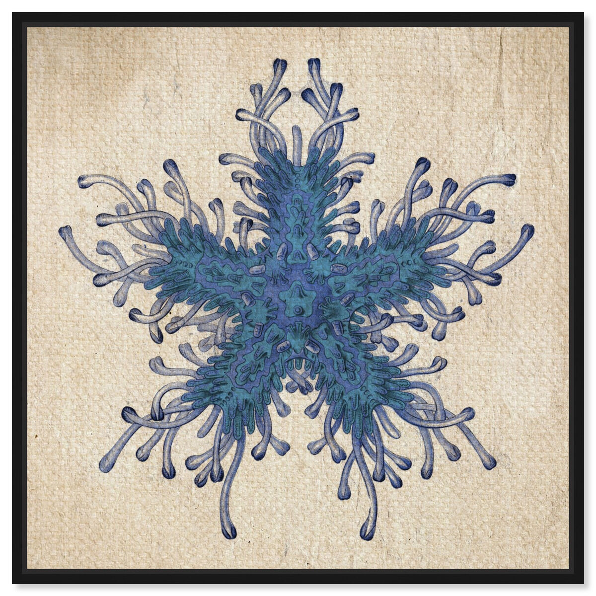 Asteridia I