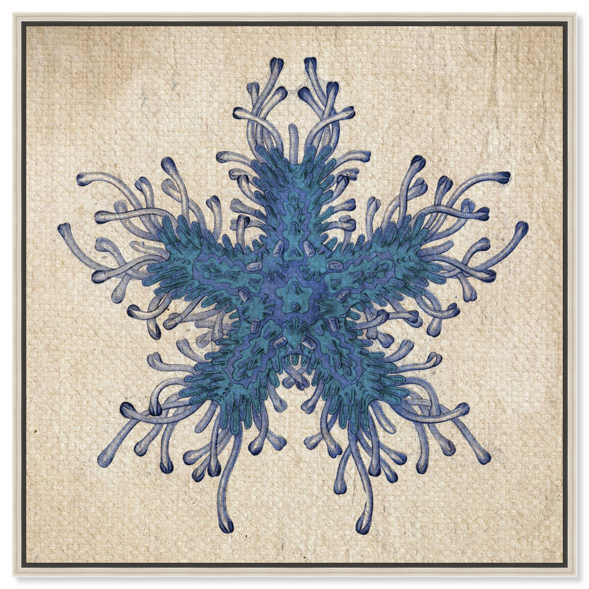 Asteridia I