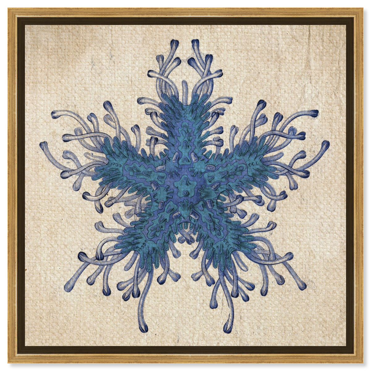 Asteridia I