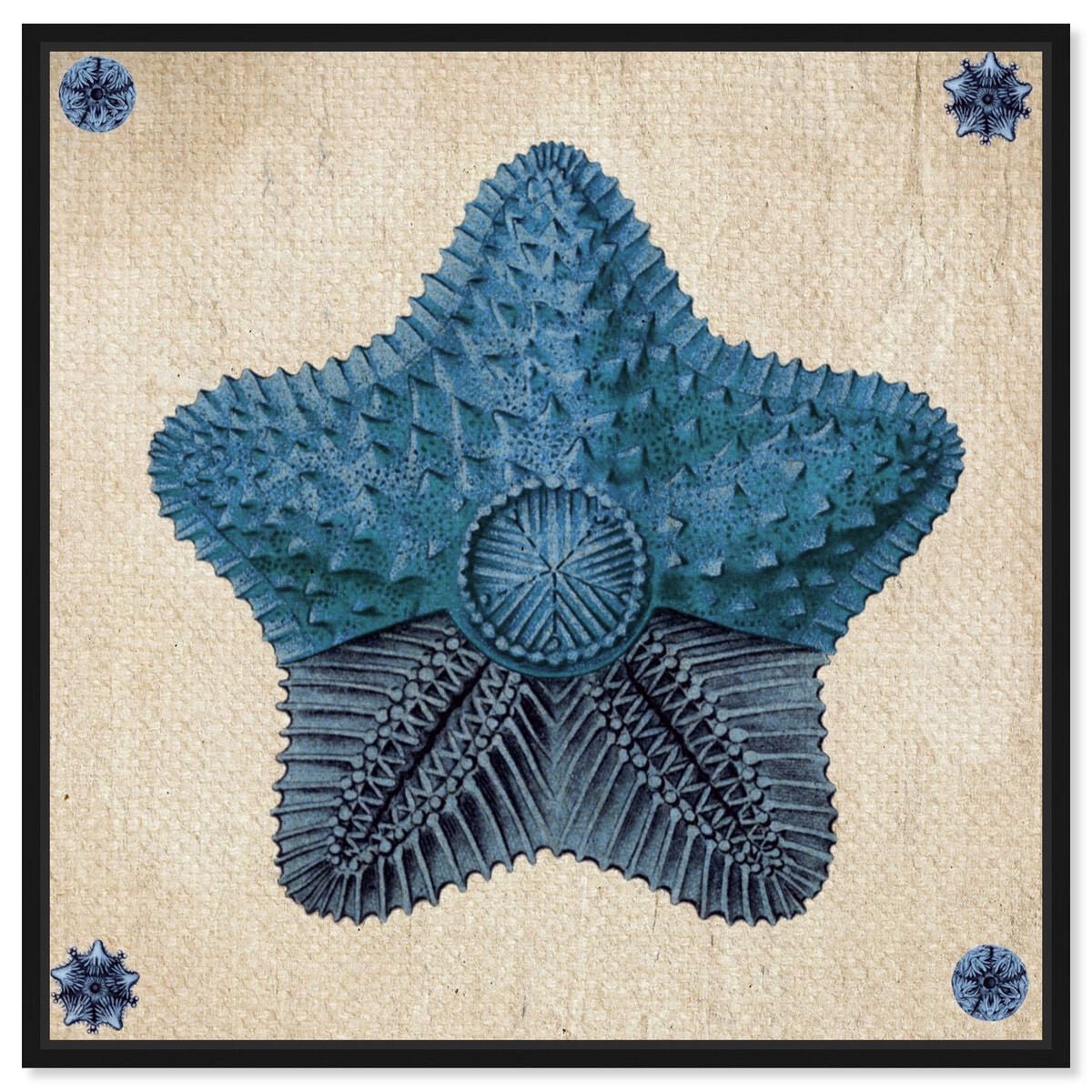 40x40/Framed Canvas/BFL