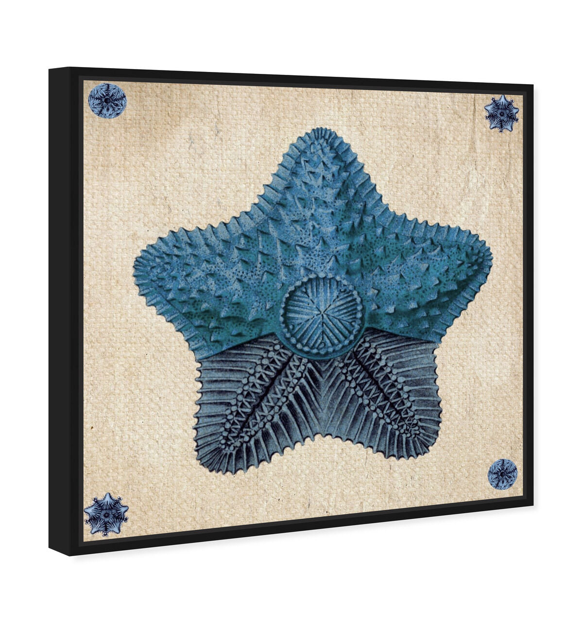 40x40/Framed Canvas/BFL