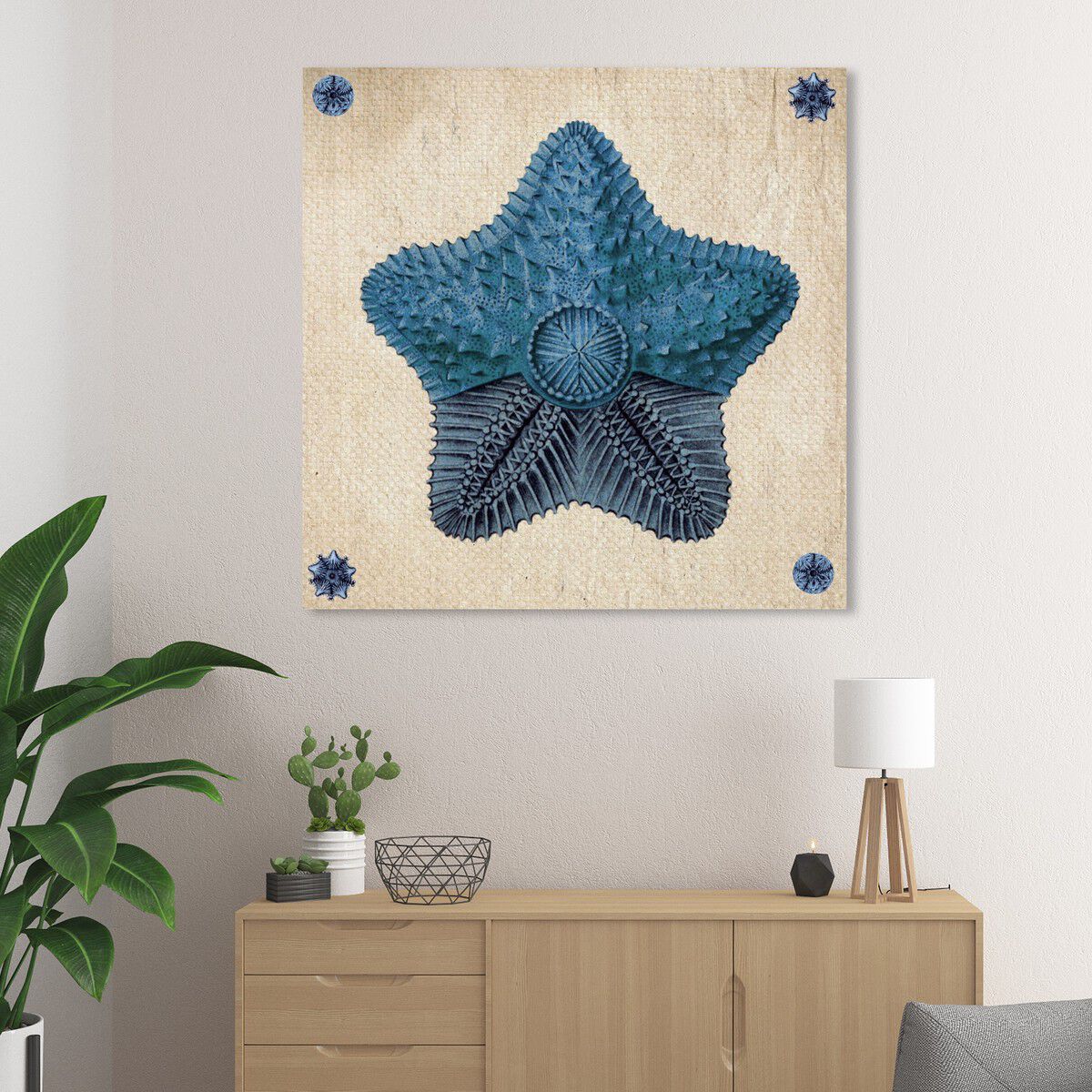 Asteridia II