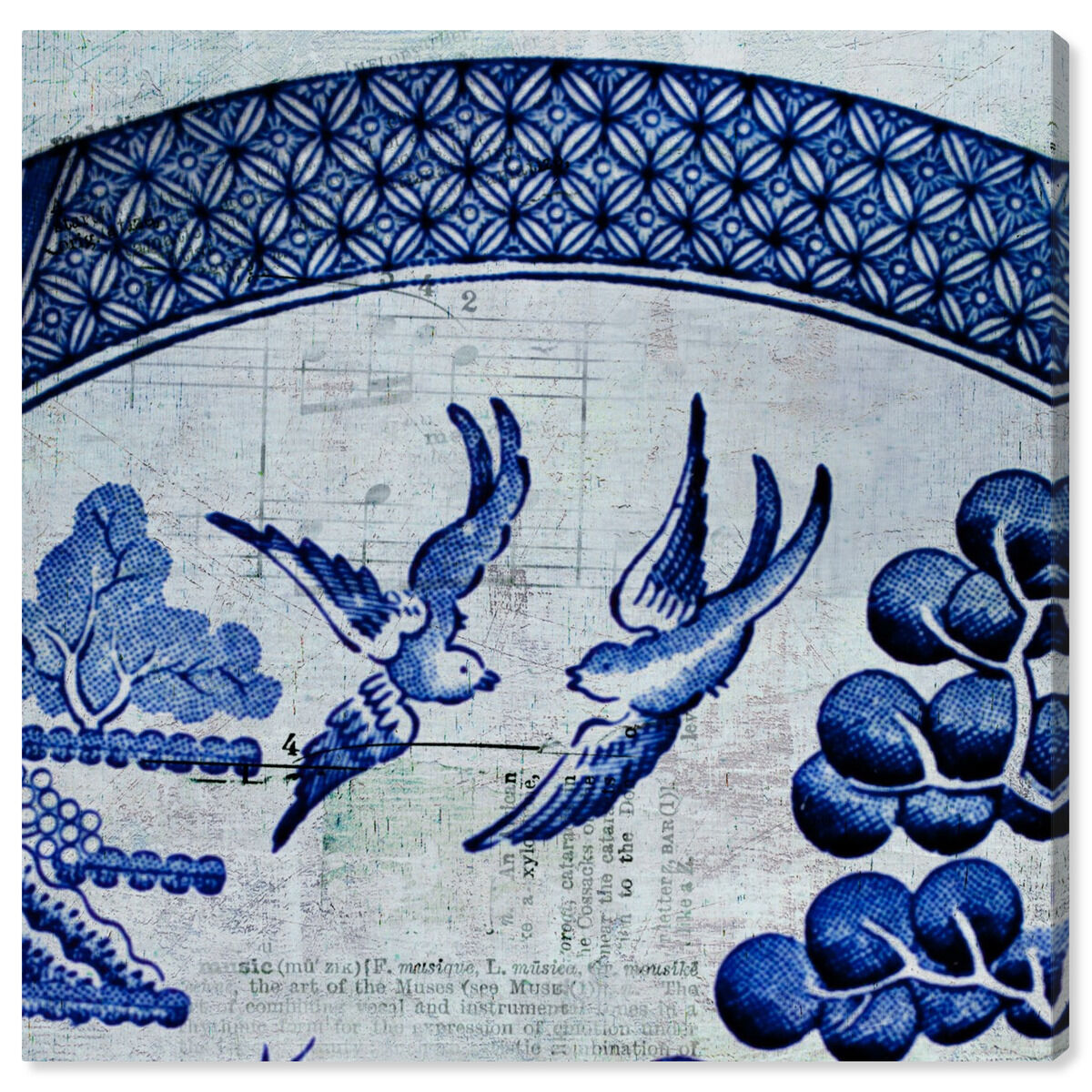 China Birds