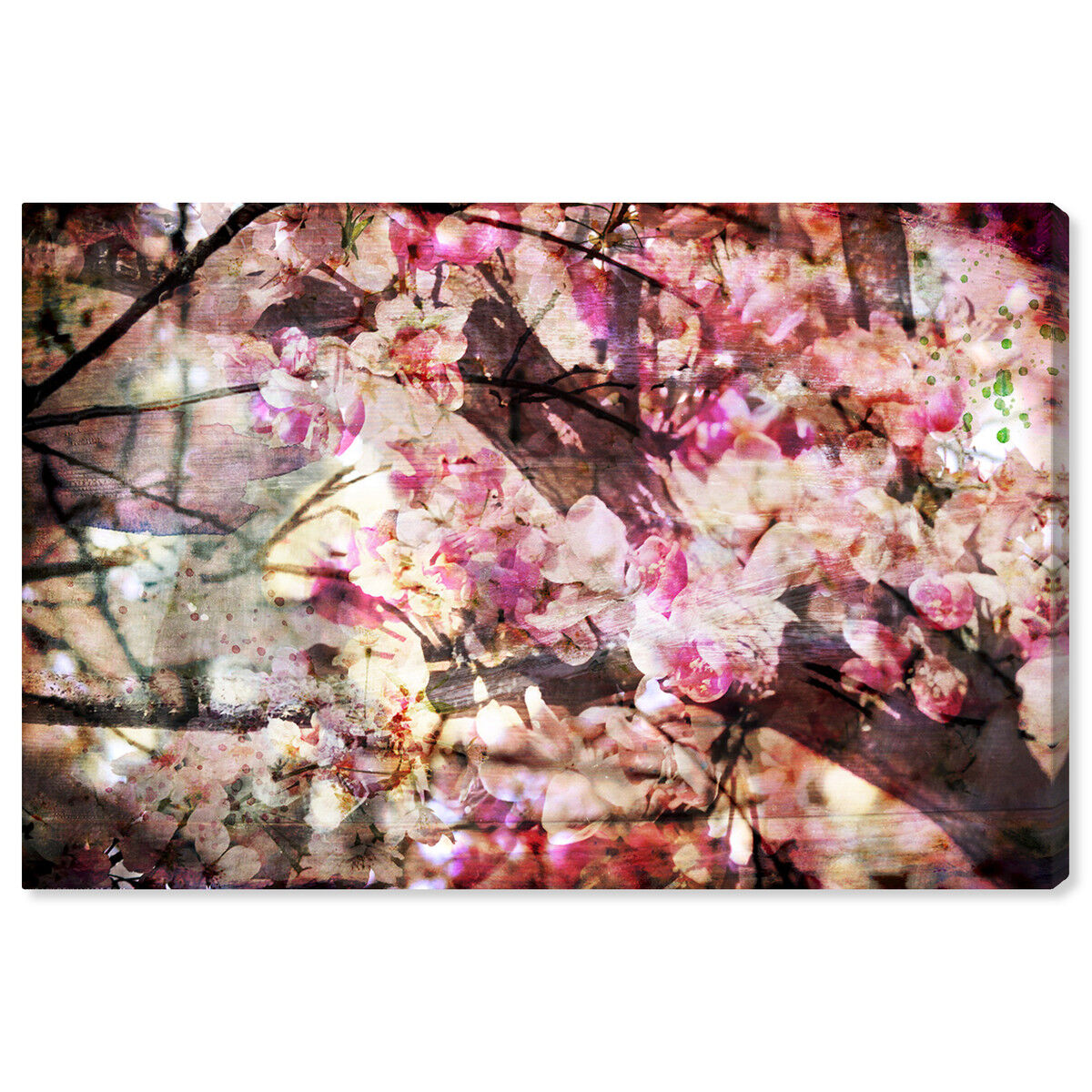 Cherry Woods