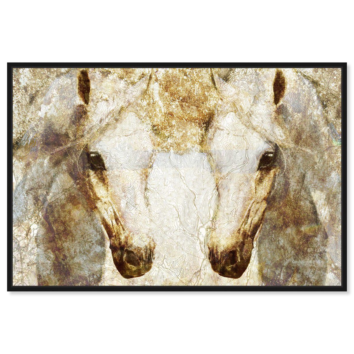 Gold Stallions