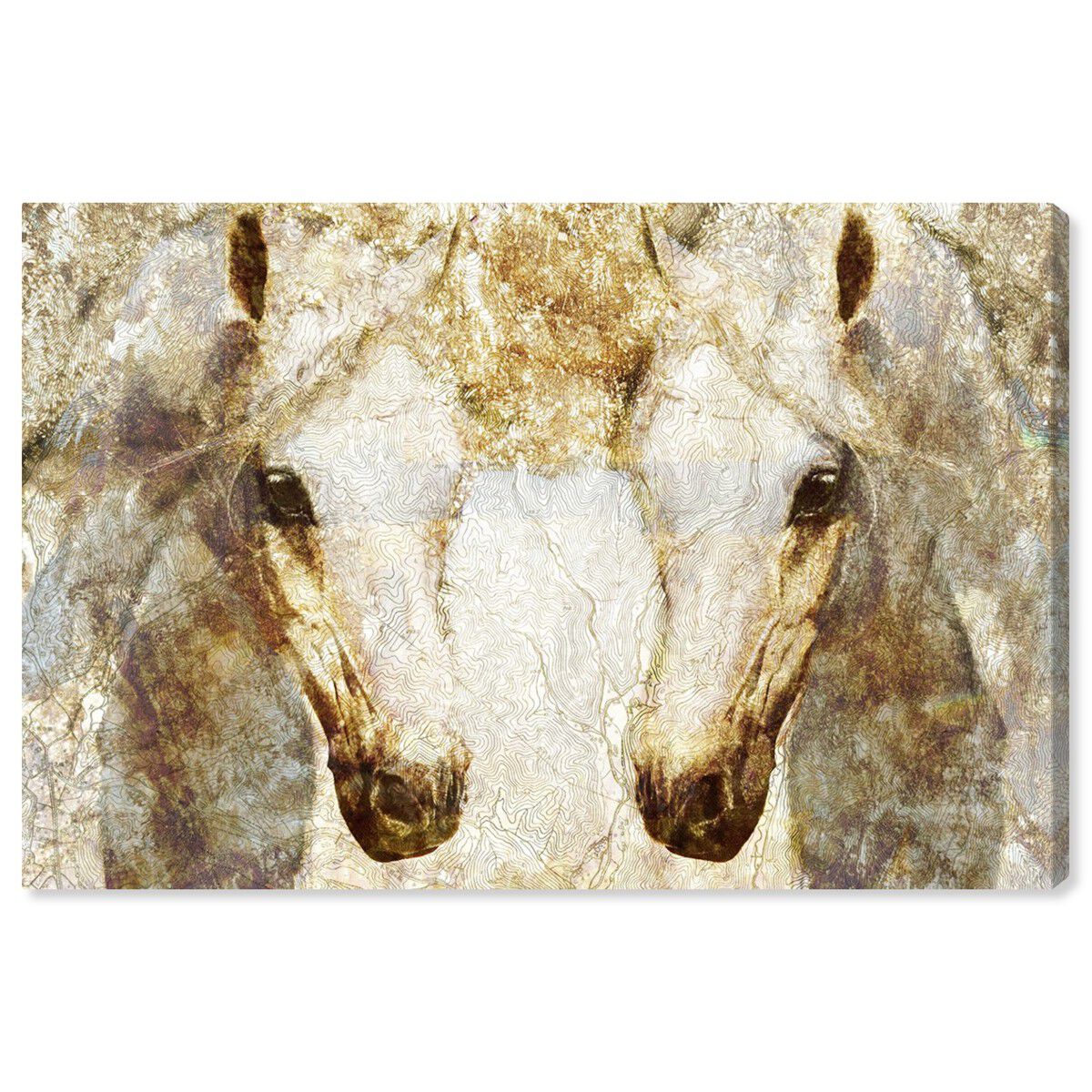 Gold Stallions