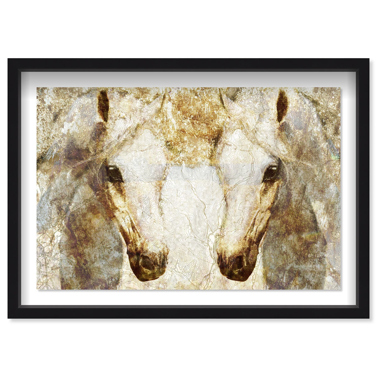 Gold Stallions